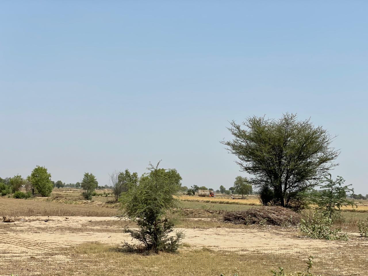 Punjab National Bank Auctions for Residential property in Mansa, Punjab image 2 of 3 in Sardulgarh, Mansa | Punjab National Bank auction property