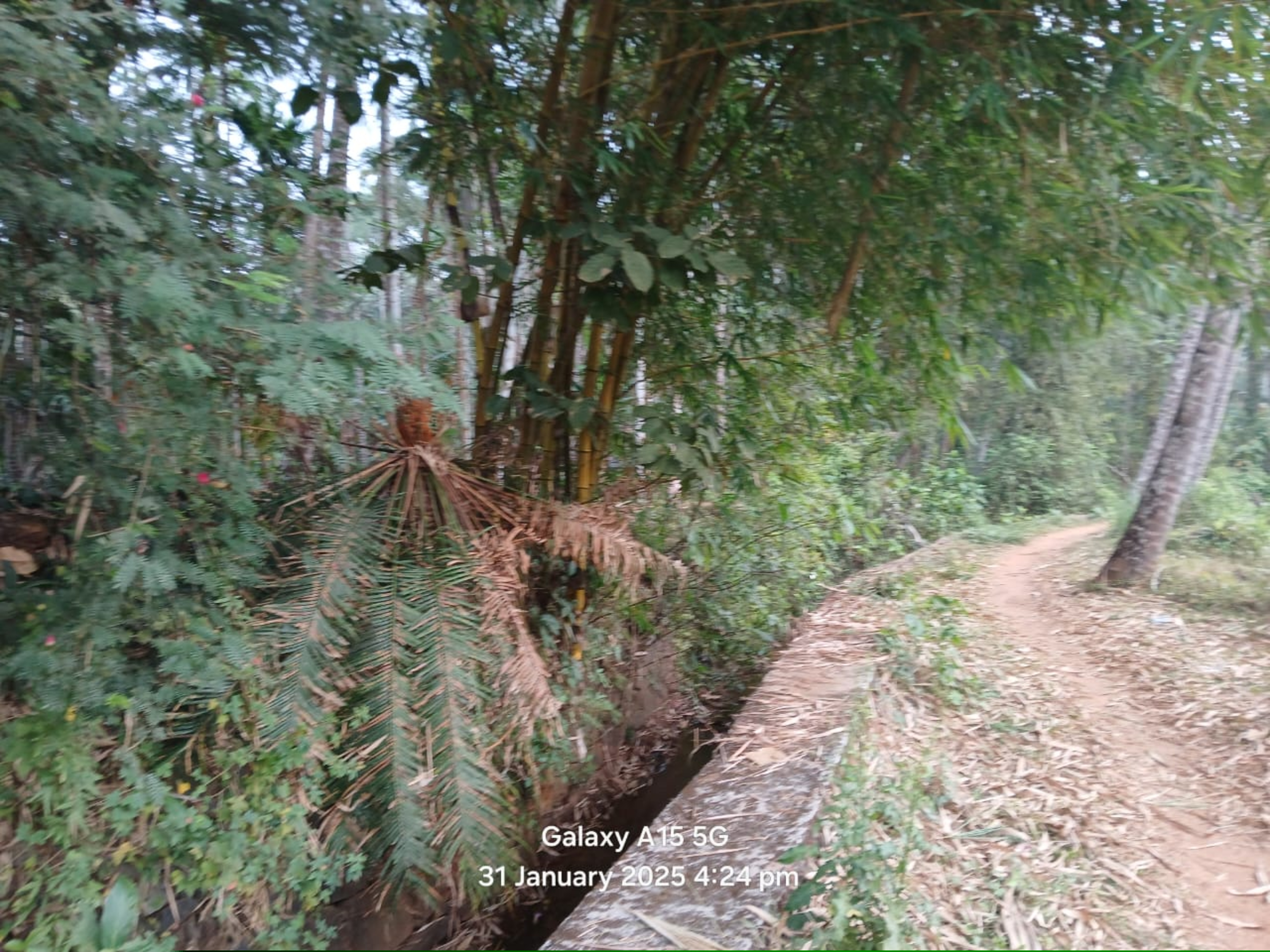 Punjab National Bank Auctions for Residential property in Kozhikode, Kerala image 4 of 7 in Kozhikode, Kozhikode | Punjab National Bank auction property