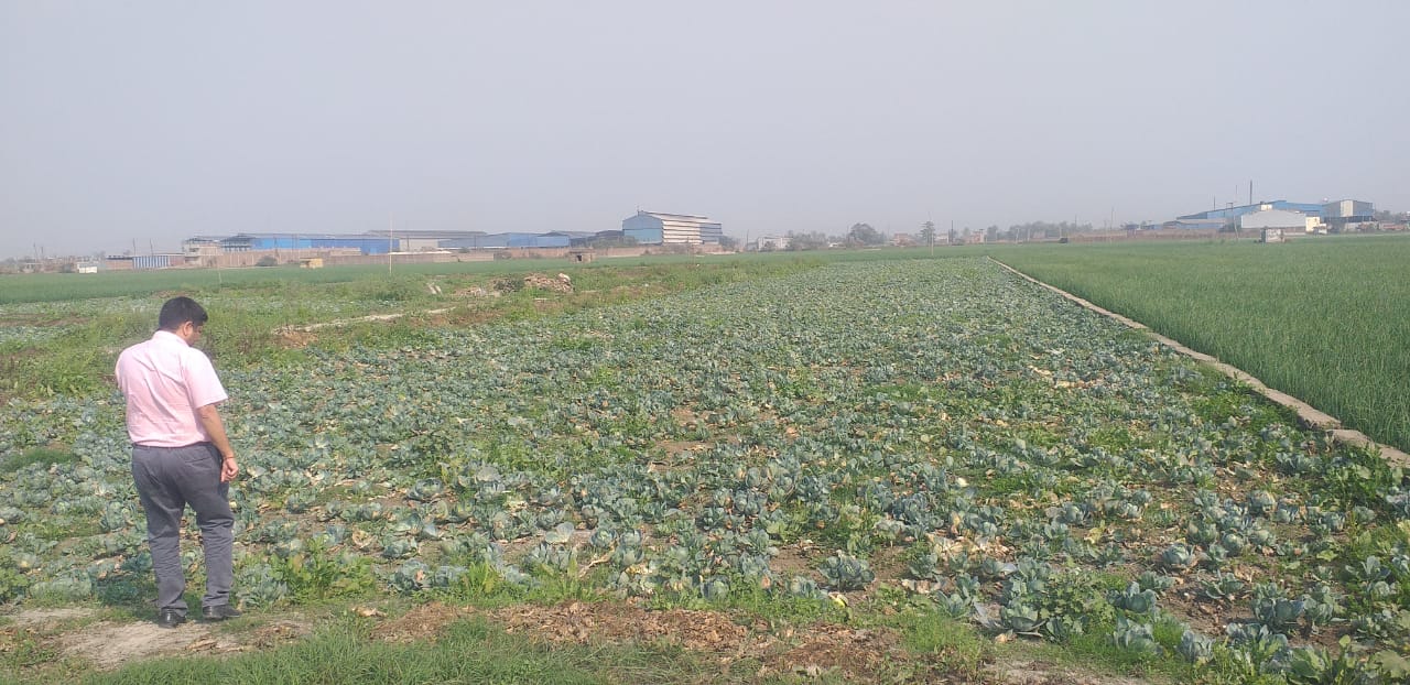 State Bank of India Auctions for Residential property in Patna, Bihar image 2 of 5 in Patna, Patna | State Bank of India auction property