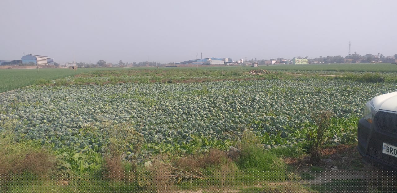 State Bank of India Auctions for Residential property in Patna, Bihar image 4 of 5 in Patna, Patna | State Bank of India auction property