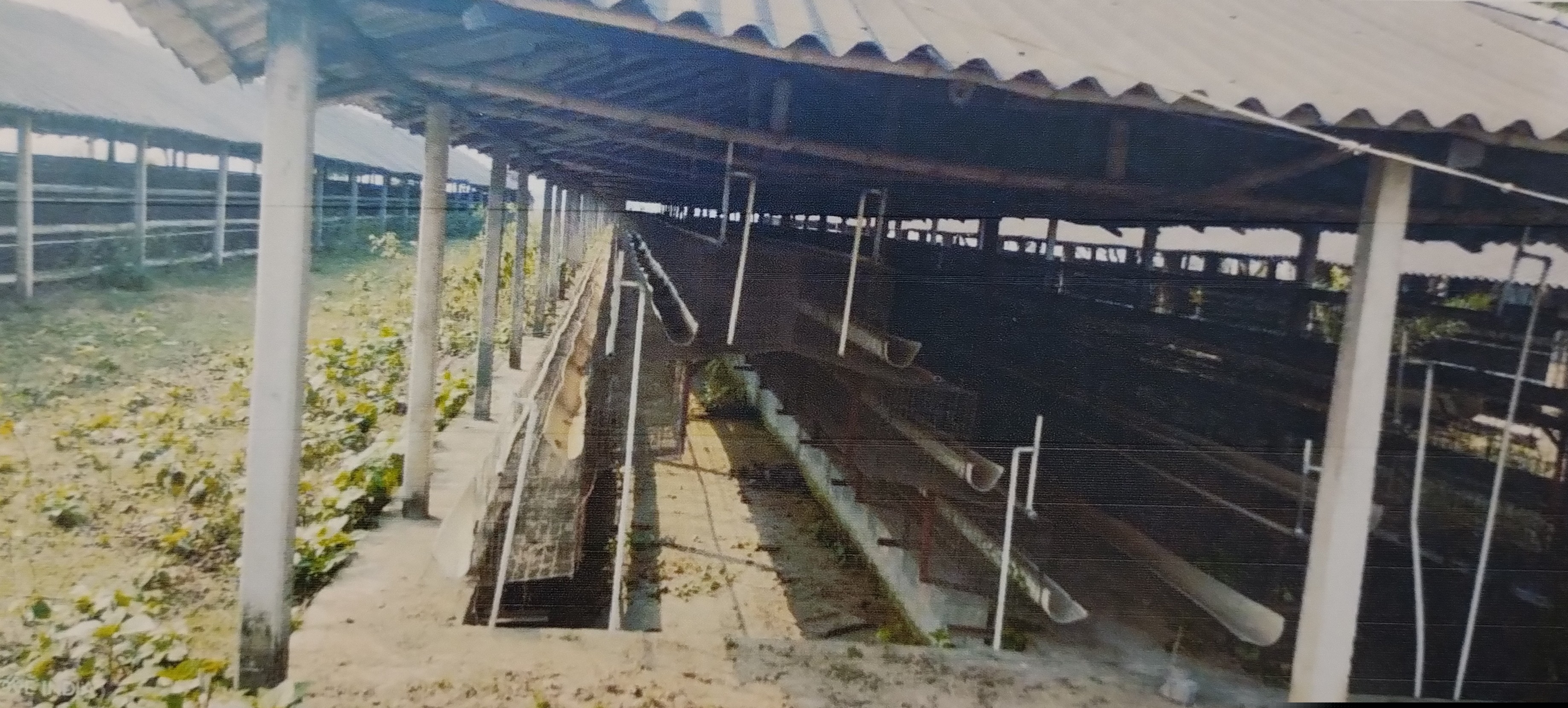 Punjab National Bank Auctions for Industrials property in Purba Bardhaman, West Bengal image 5 of 7 in Burdwan, Purba Bardhaman | Punjab National Bank auction property