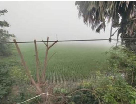 Punjab National Bank Auctions for Commercial property in Bankura, West Bengal image 4 of 4 in Barjora, Bankura | Punjab National Bank auction property