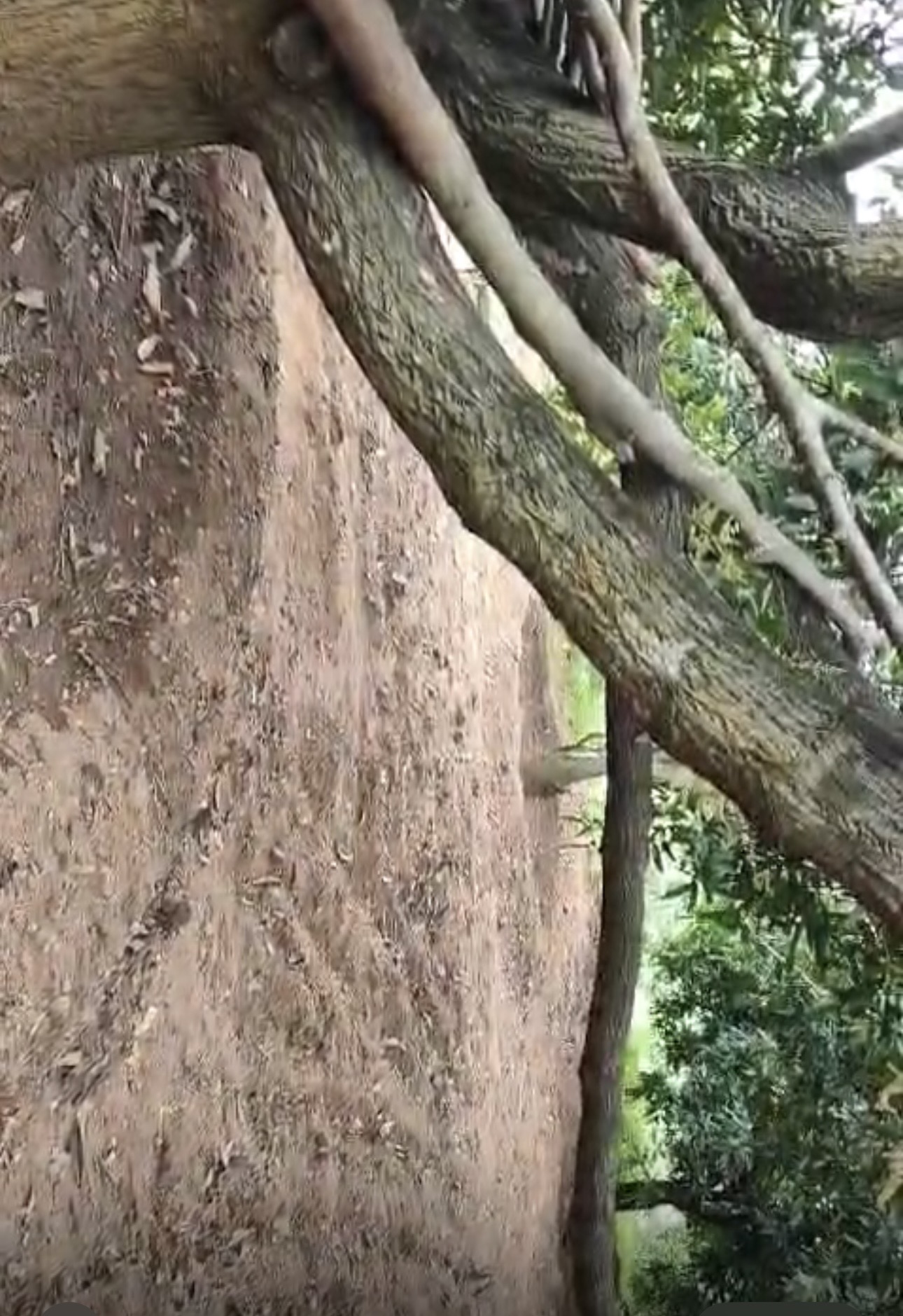 Indian Bank Auctions for Residential property in Dindigul, Tamil Nadu image 5 of 5 in Natham, Dindigul | Indian Bank auction property