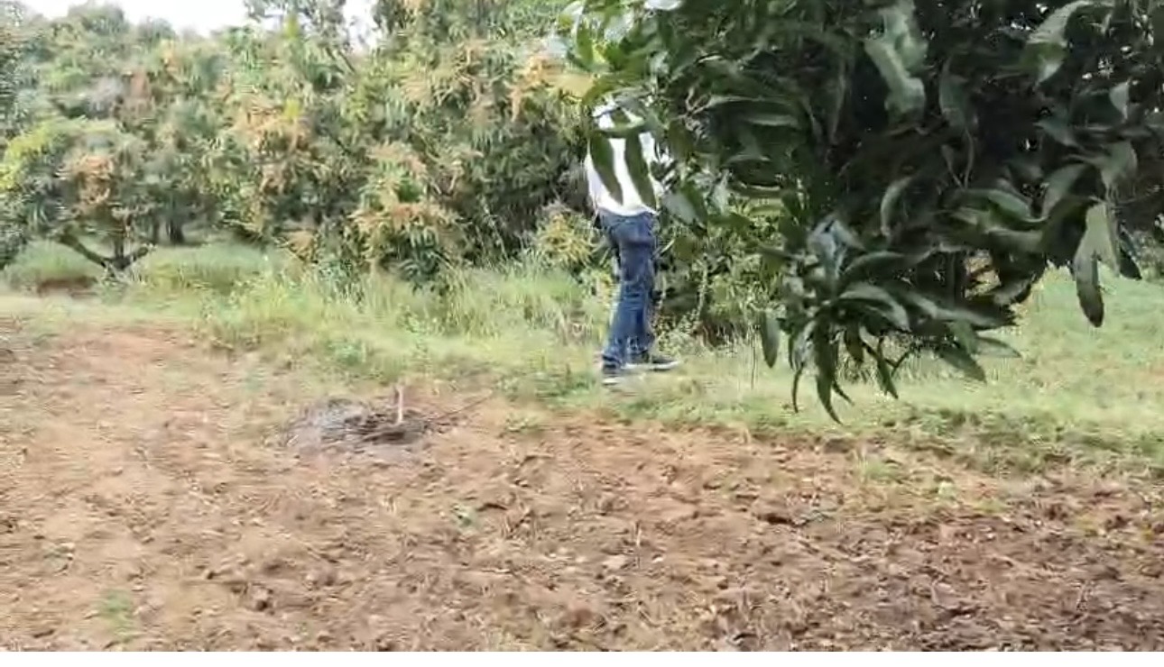 Indian Bank Auctions for Residential property in Dindigul, Tamil Nadu image 5 of 6 in Natham, Dindigul | Indian Bank auction property