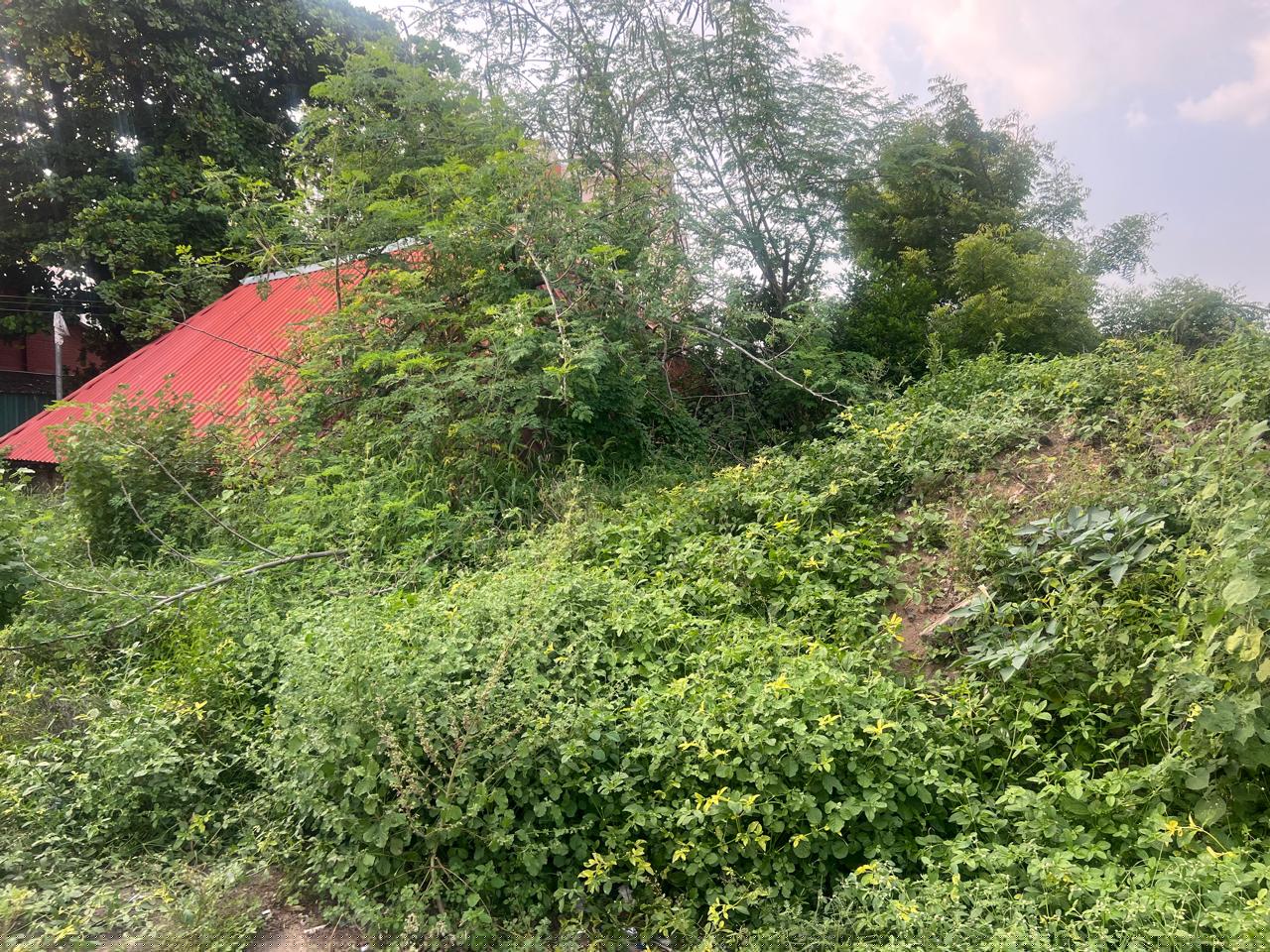 Punjab National Bank Auctions for Residential property in Tiruchirappalli, Tamil Nadu image 3 of 14 in Tiruchirappalli, Tiruchirappalli | Punjab National Bank auction property