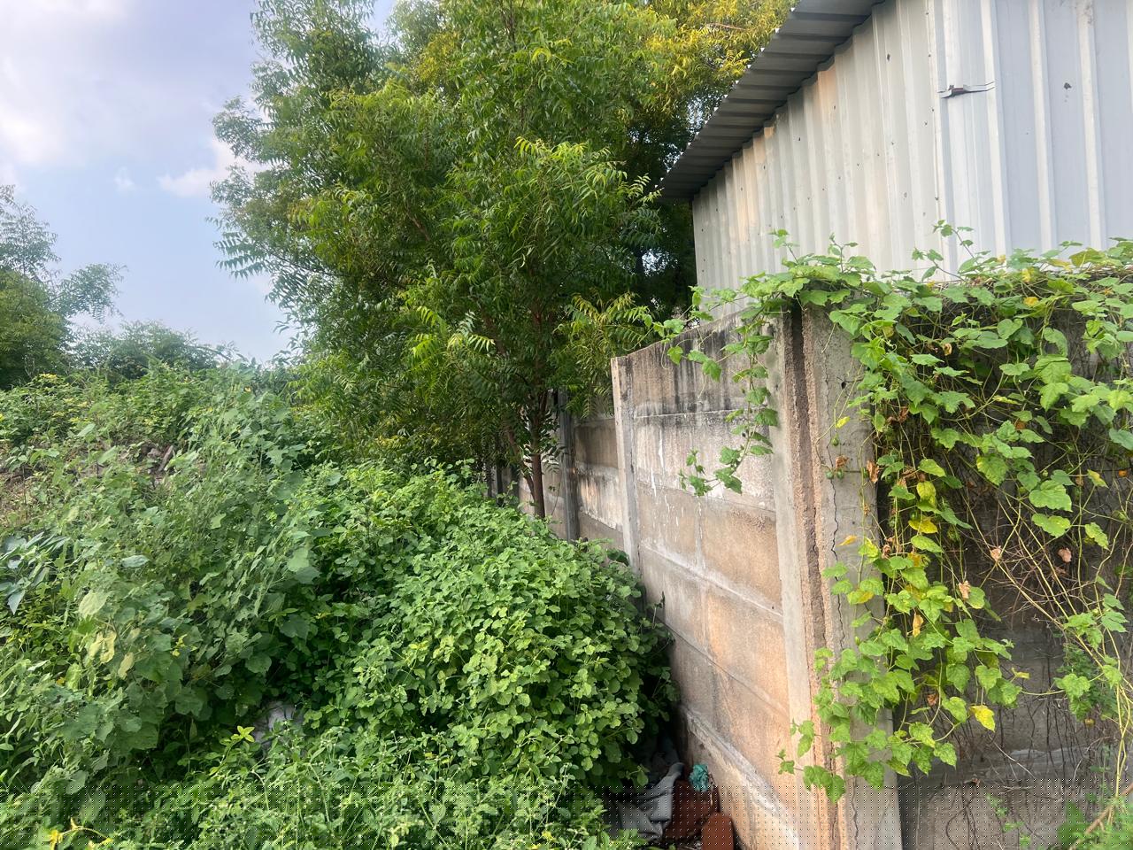 Punjab National Bank Auctions for Residential property in Tiruchirappalli, Tamil Nadu image 5 of 14 in Tiruchirappalli, Tiruchirappalli | Punjab National Bank auction property