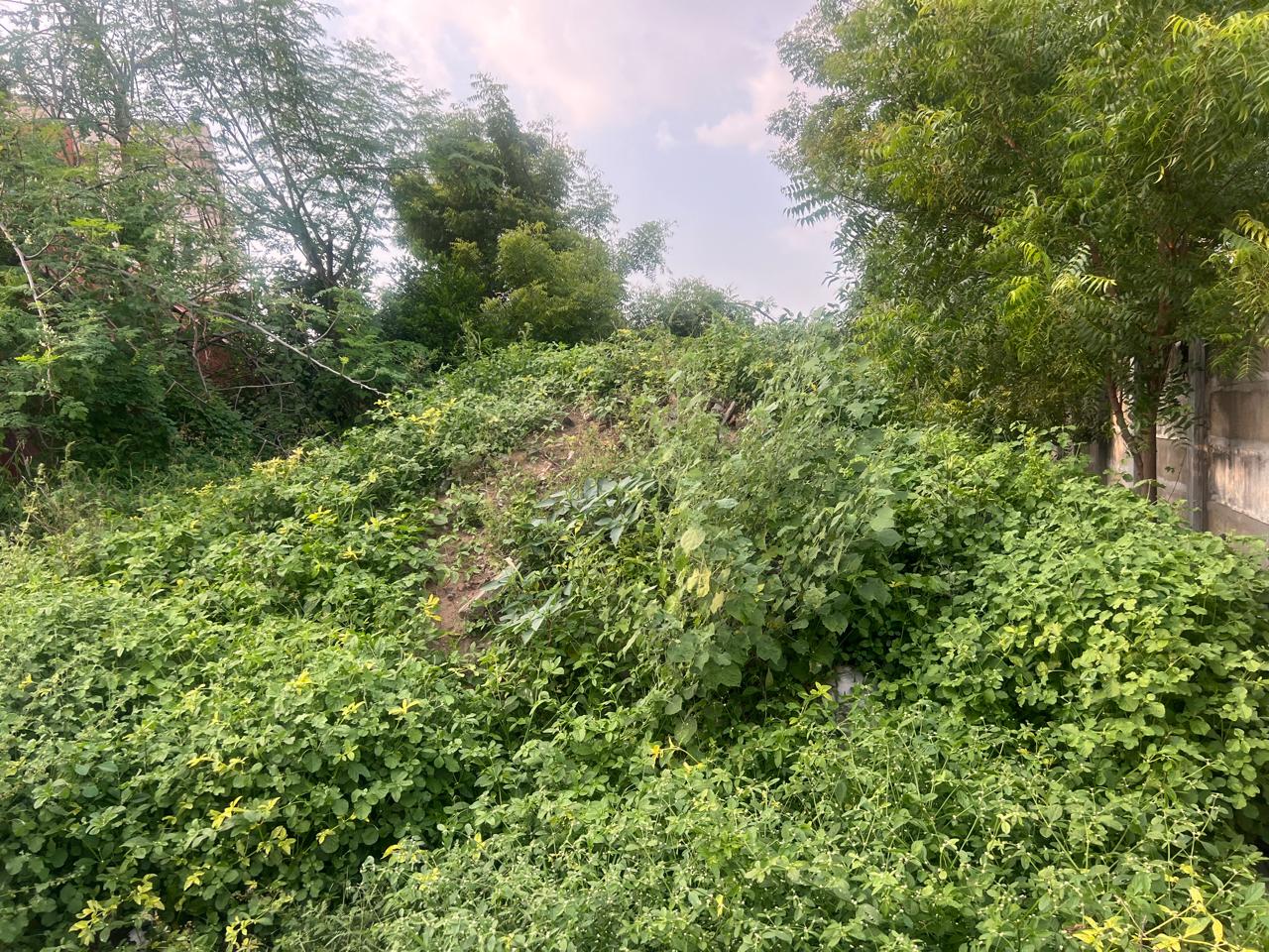 Punjab National Bank Auctions for Residential property in Tiruchirappalli, Tamil Nadu image 6 of 14 in Tiruchirappalli, Tiruchirappalli | Punjab National Bank auction property