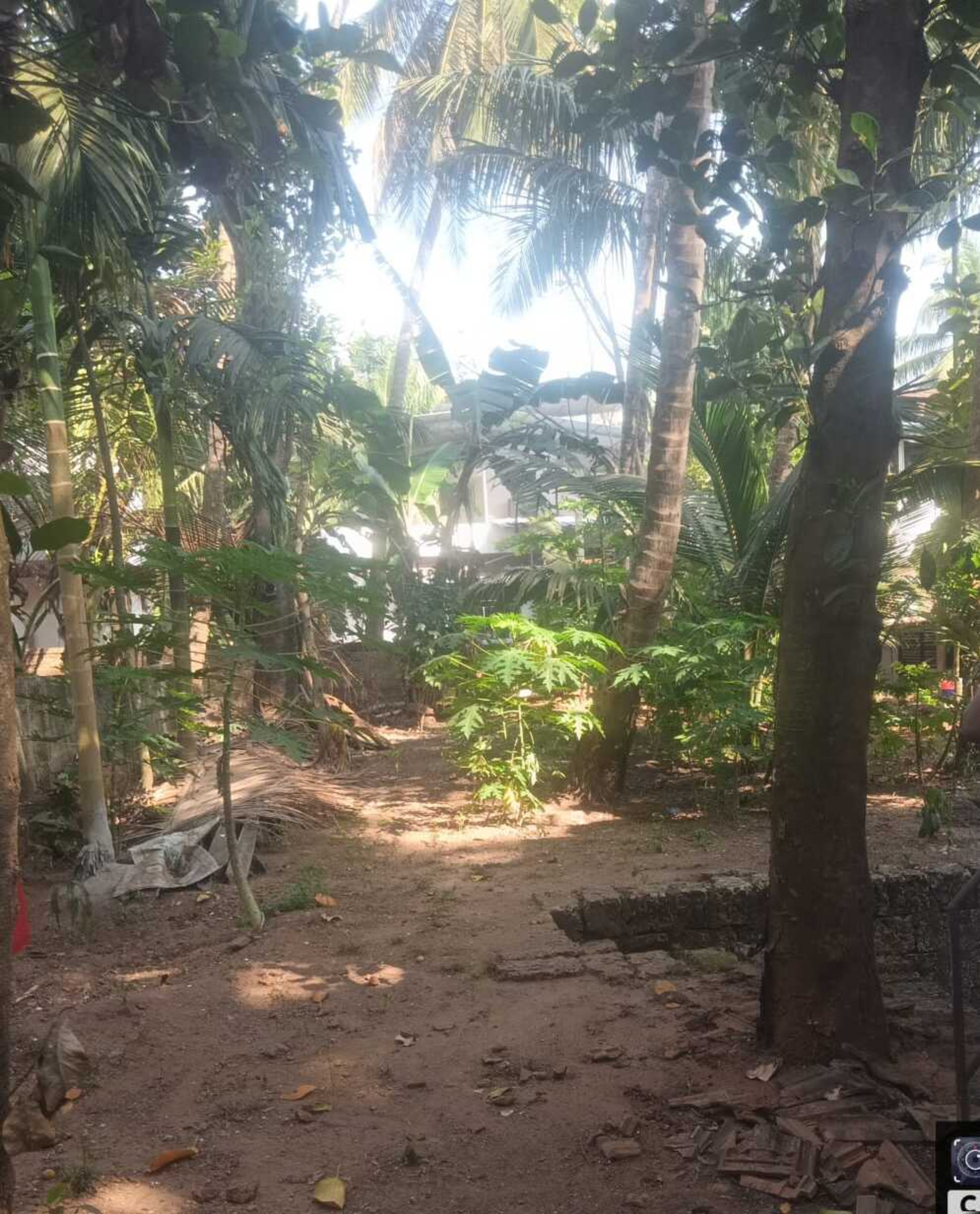 Punjab National Bank Auctions for Residential property in Kozhikode, Kerala image 2 of 7 in Kadalundi, Kozhikode | Punjab National Bank auction property