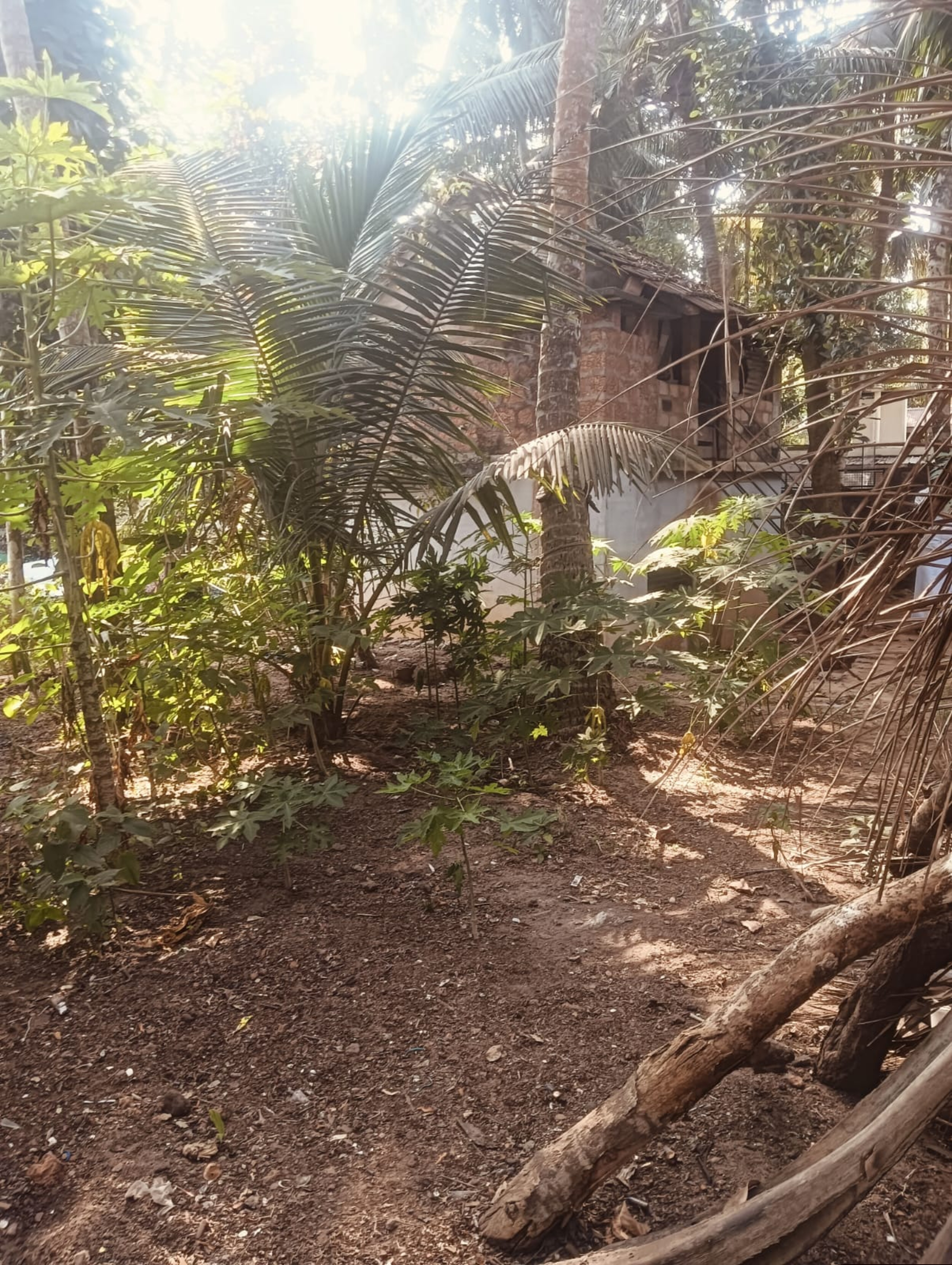 Punjab National Bank Auctions for Residential property in Kozhikode, Kerala image 3 of 7 in Kadalundi, Kozhikode | Punjab National Bank auction property