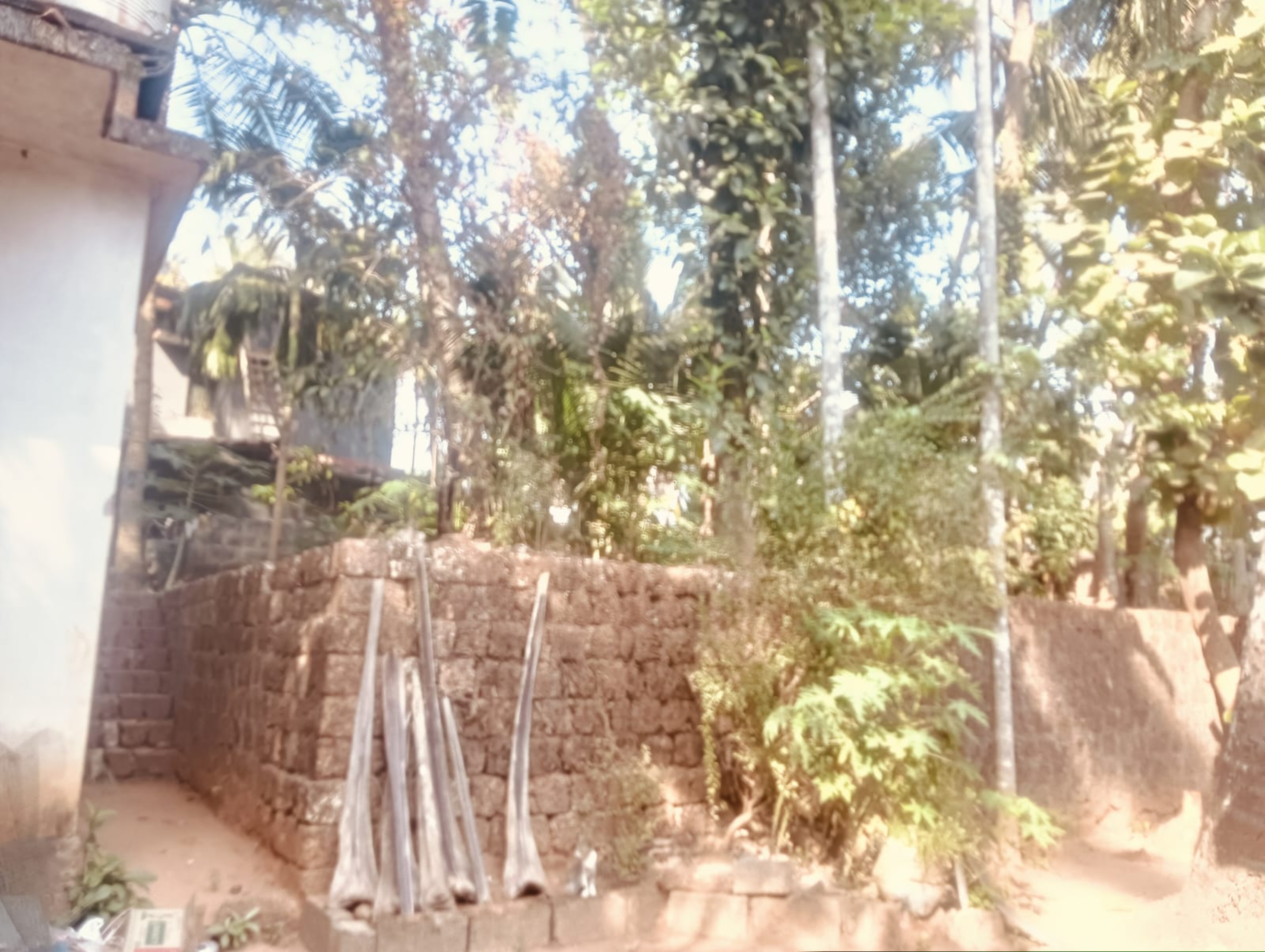 Punjab National Bank Auctions for Residential property in Kozhikode, Kerala image 5 of 7 in Kadalundi, Kozhikode | Punjab National Bank auction property