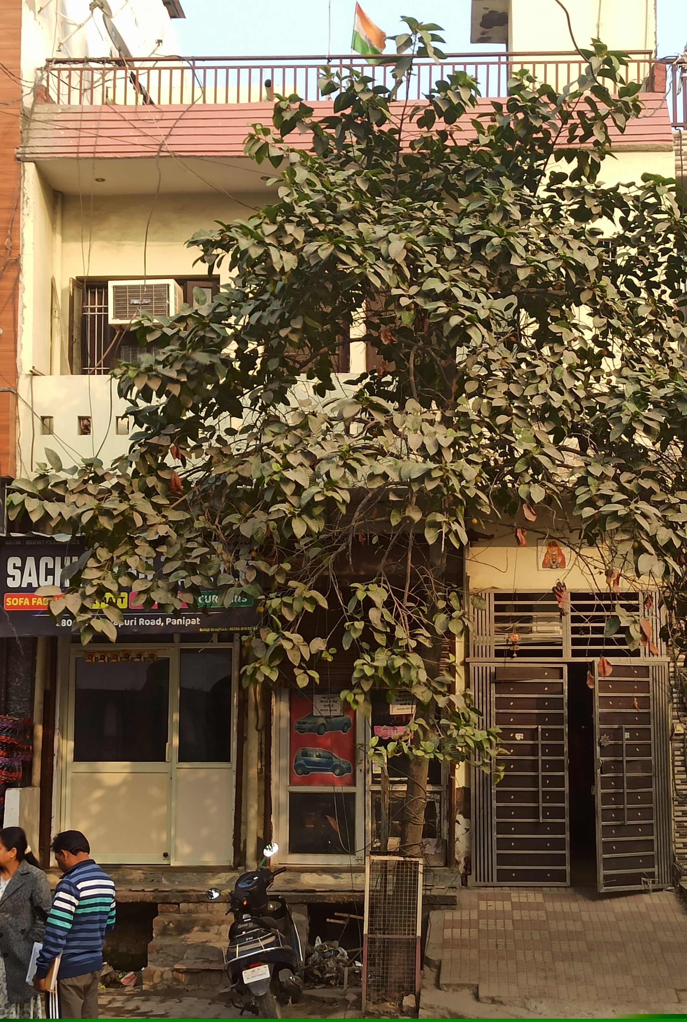 Punjab National Bank Auctions for Residential property in Panipat, Haryana image 6 of 8 in Panipat, Panipat | Punjab National Bank auction property