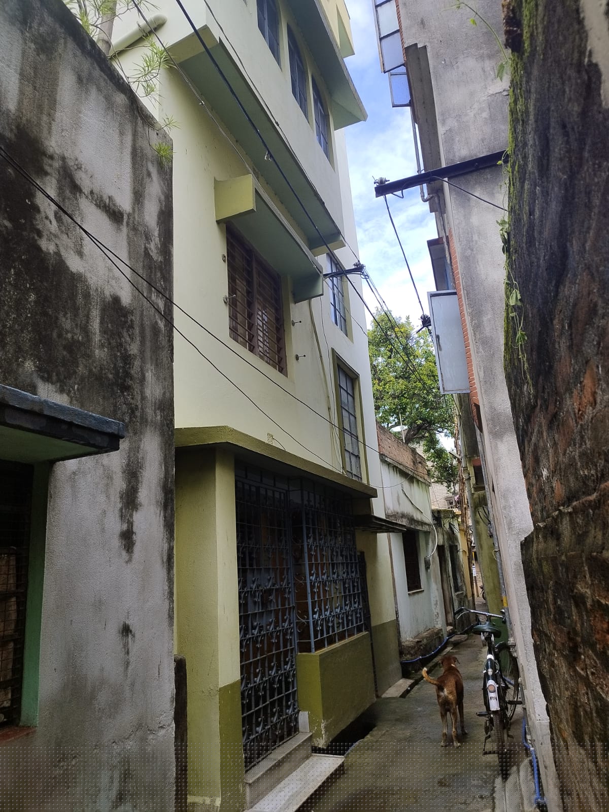 Punjab National Bank Auctions for Residential property in Purba Bardhaman, West Bengal image 2 of 11 in Burdwan, Purba Bardhaman | Punjab National Bank auction property