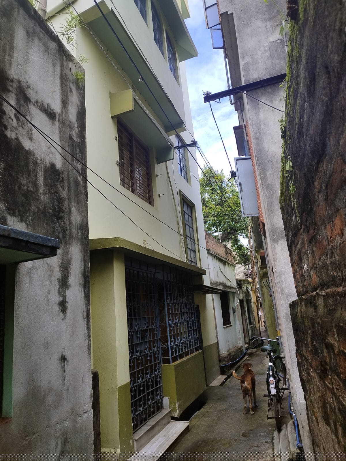 Punjab National Bank Auctions for Residential property in Purba Bardhaman, West Bengal image 5 of 11 in Burdwan, Purba Bardhaman | Punjab National Bank auction property