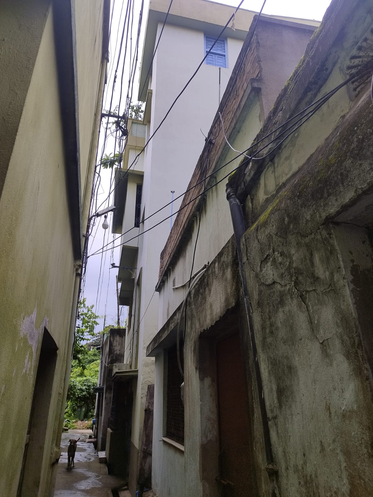 Punjab National Bank Auctions for Residential property in Purba Bardhaman, West Bengal image 7 of 11 in Burdwan, Purba Bardhaman | Punjab National Bank auction property