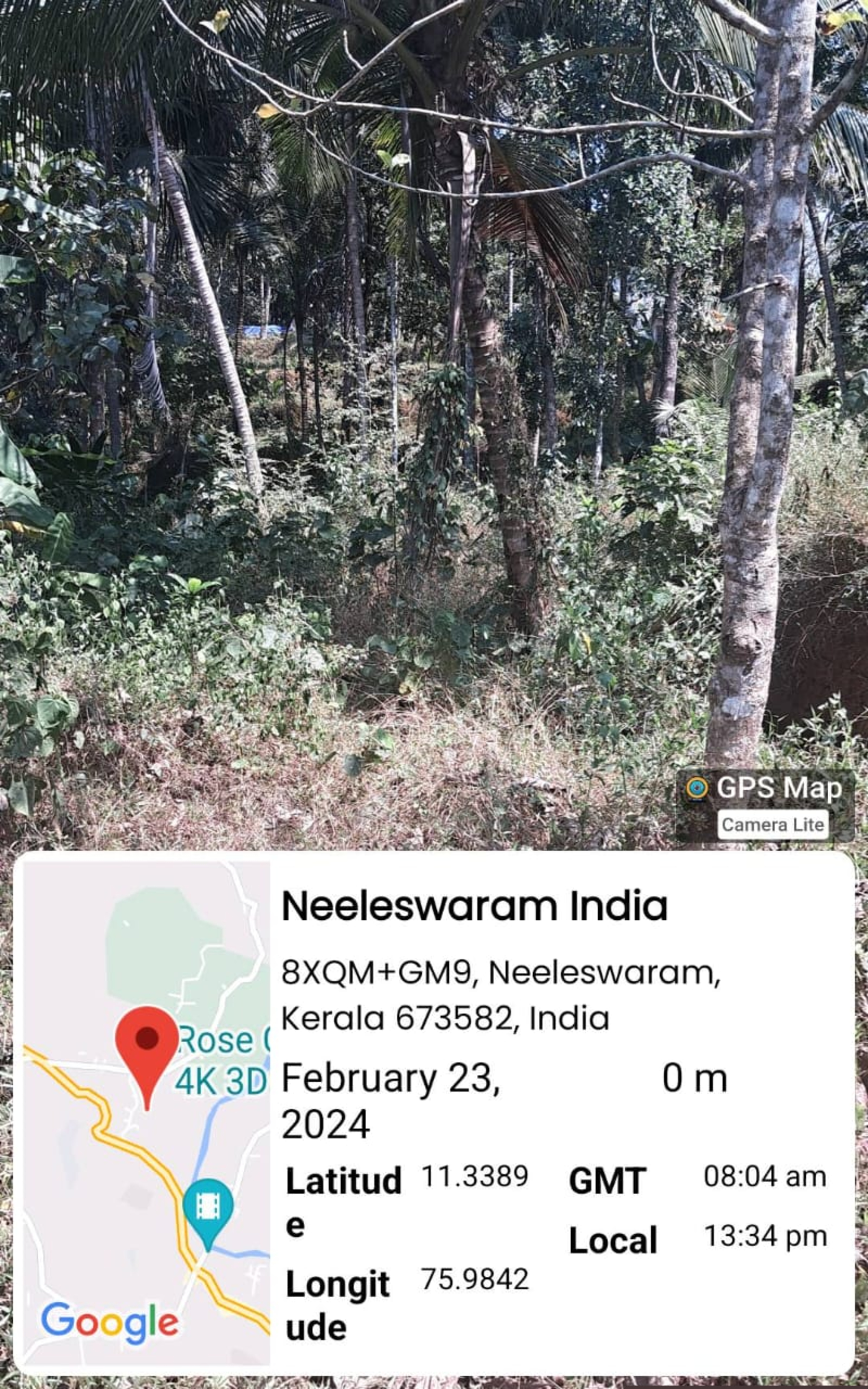 Punjab National Bank Auctions for Residential property in Kozhikode, Kerala image 3 of 7 in Koduvally, Kozhikode | Punjab National Bank auction property