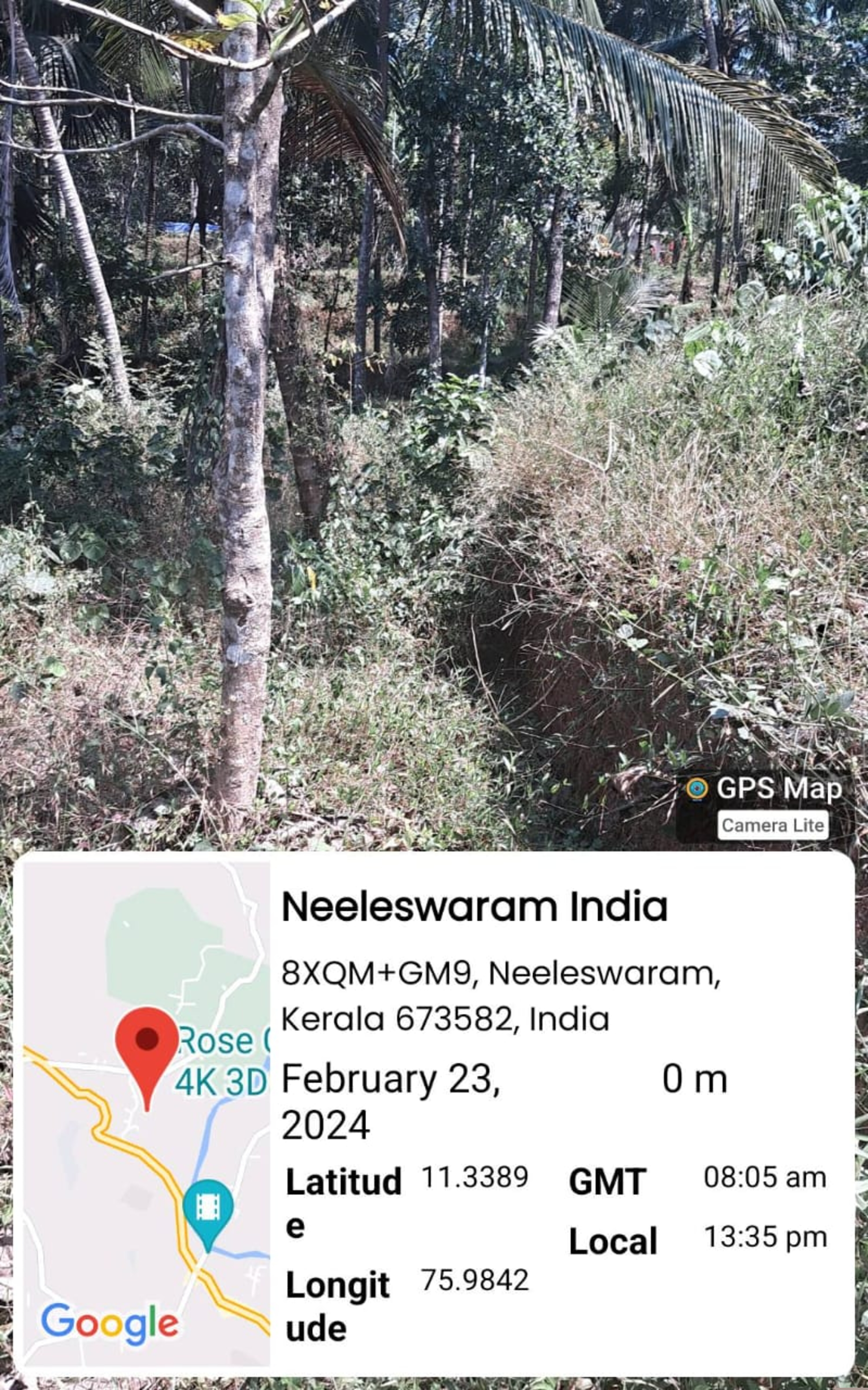 Punjab National Bank Auctions for Residential property in Kozhikode, Kerala image 4 of 7 in Koduvally, Kozhikode | Punjab National Bank auction property