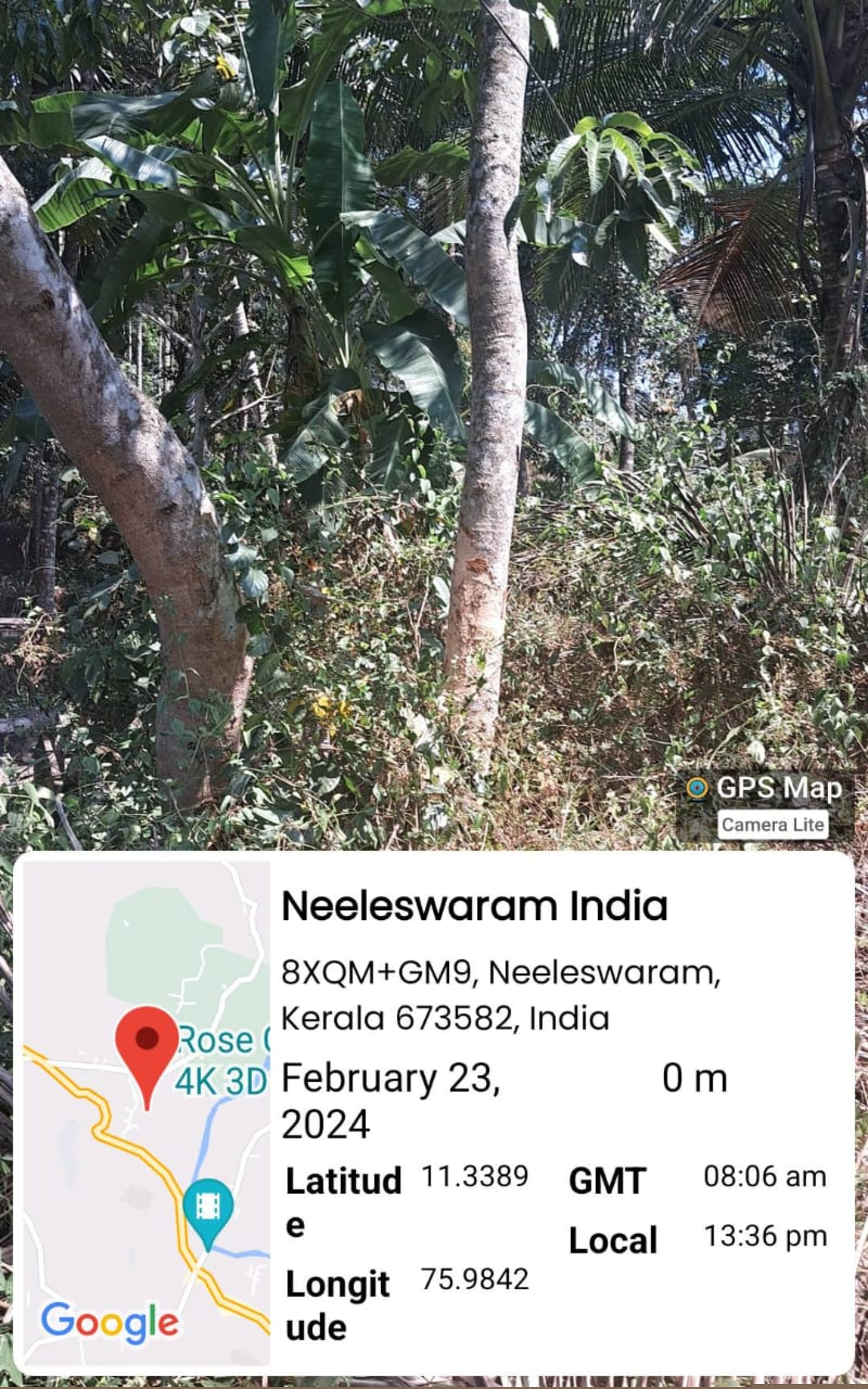 Punjab National Bank Auctions for Residential property in Kozhikode, Kerala image 5 of 7 in Koduvally, Kozhikode | Punjab National Bank auction property