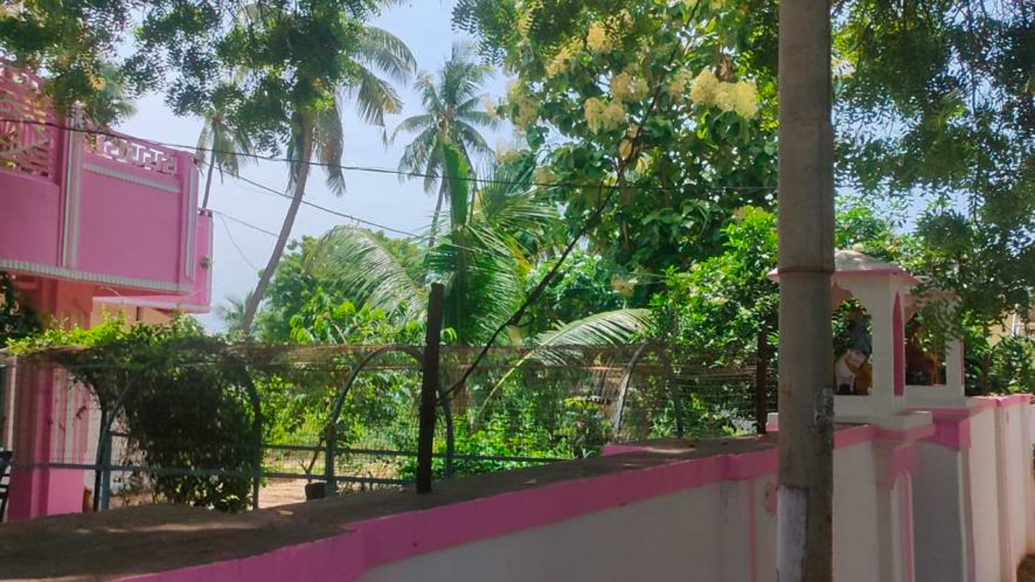 Canara Bank Auctions for Residential property in Eluru, Andhra Pradesh image 3 of 11 in Denduluru, Eluru | Canara Bank auction property