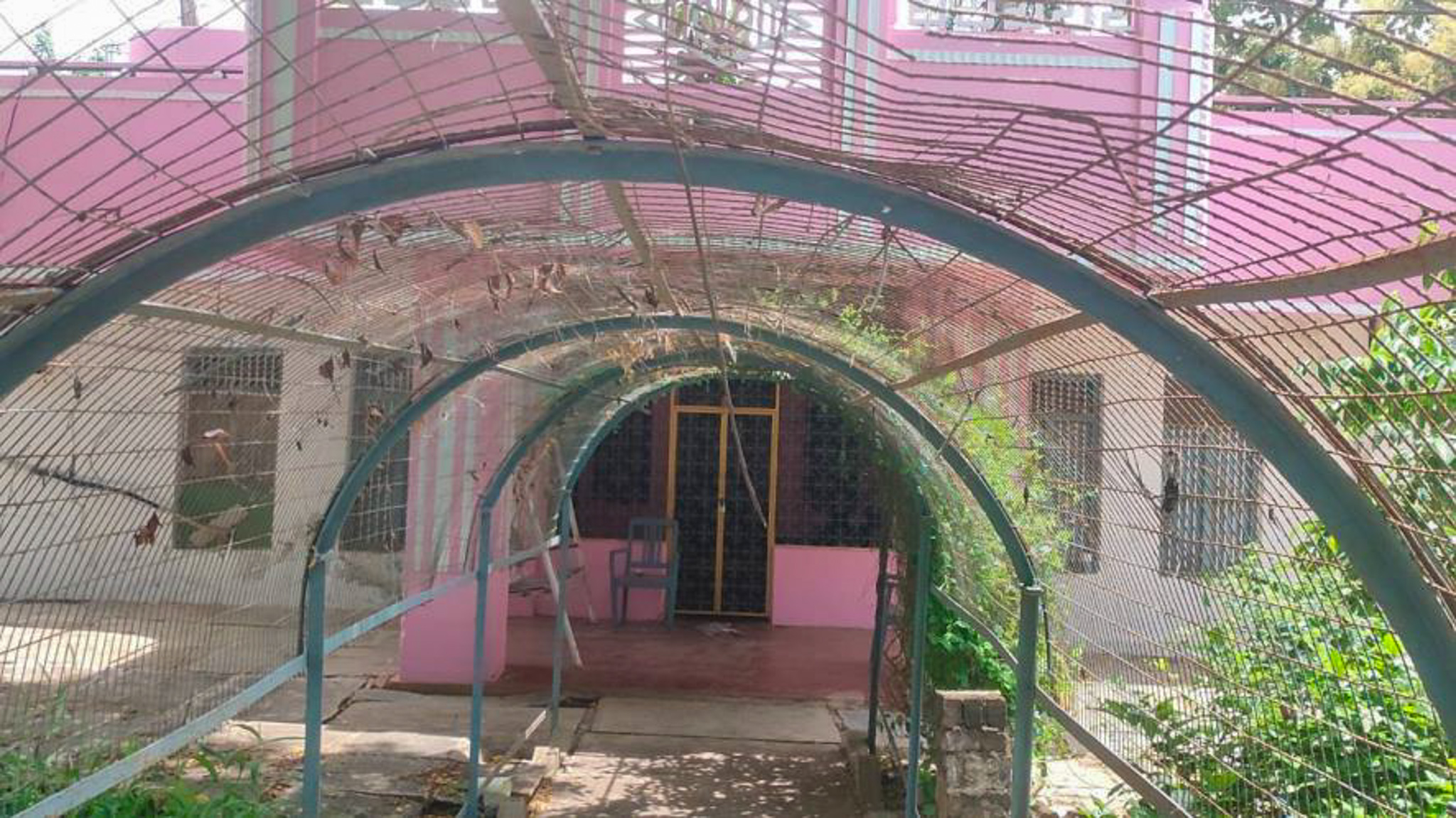 Canara Bank Auctions for Residential property in Eluru, Andhra Pradesh image 6 of 11 in Denduluru, Eluru | Canara Bank auction property