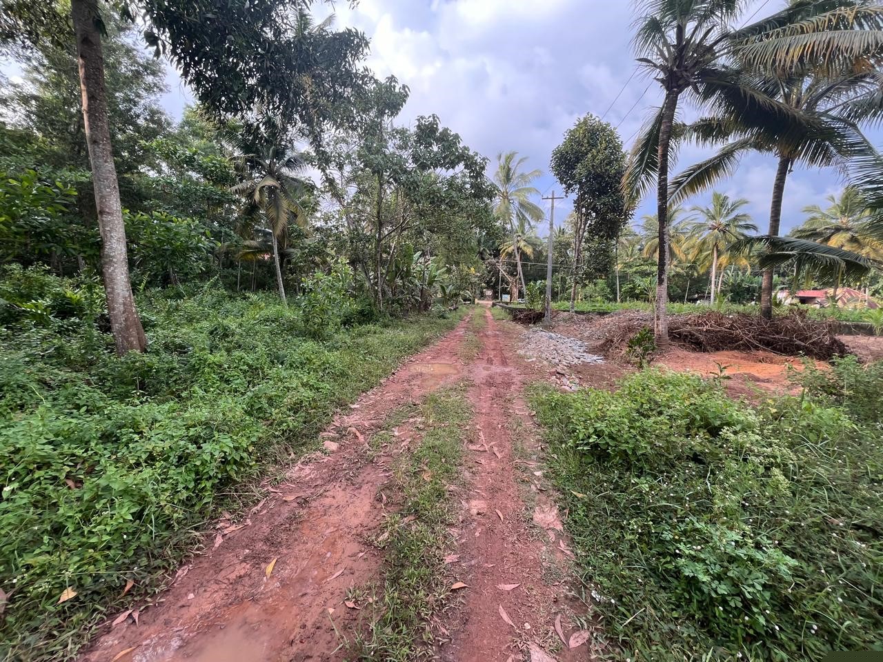 Punjab National Bank Auctions for Residential property in Trivandrum, Kerala image 11 of 12 in Varkala, Trivandrum | Punjab National Bank auction property