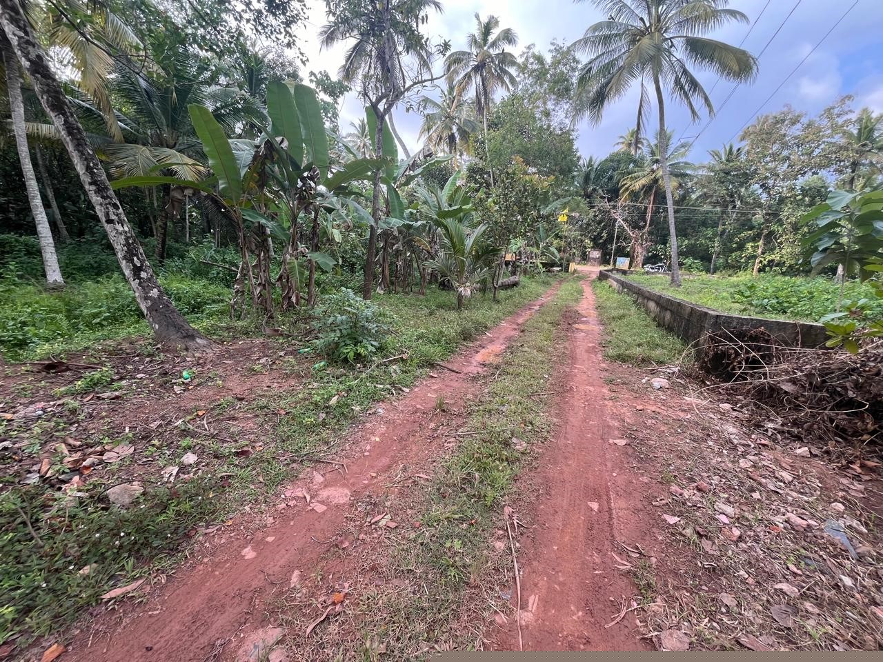 Punjab National Bank Auctions for Residential property in Trivandrum, Kerala image 2 of 12 in Varkala, Trivandrum | Punjab National Bank auction property