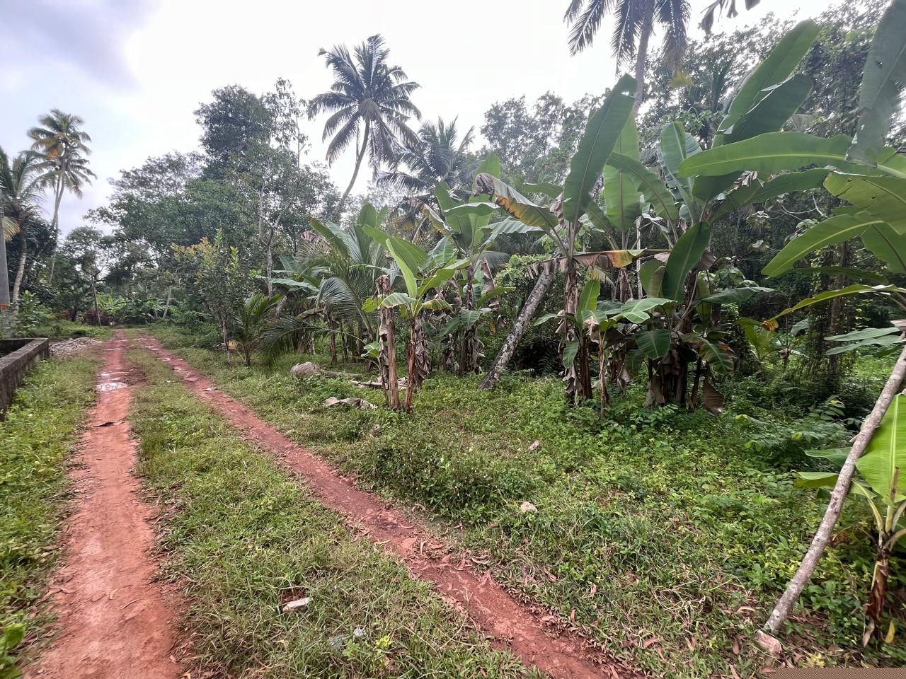 Punjab National Bank Auctions for Residential property in Trivandrum, Kerala image 5 of 12 in Varkala, Trivandrum | Punjab National Bank auction property