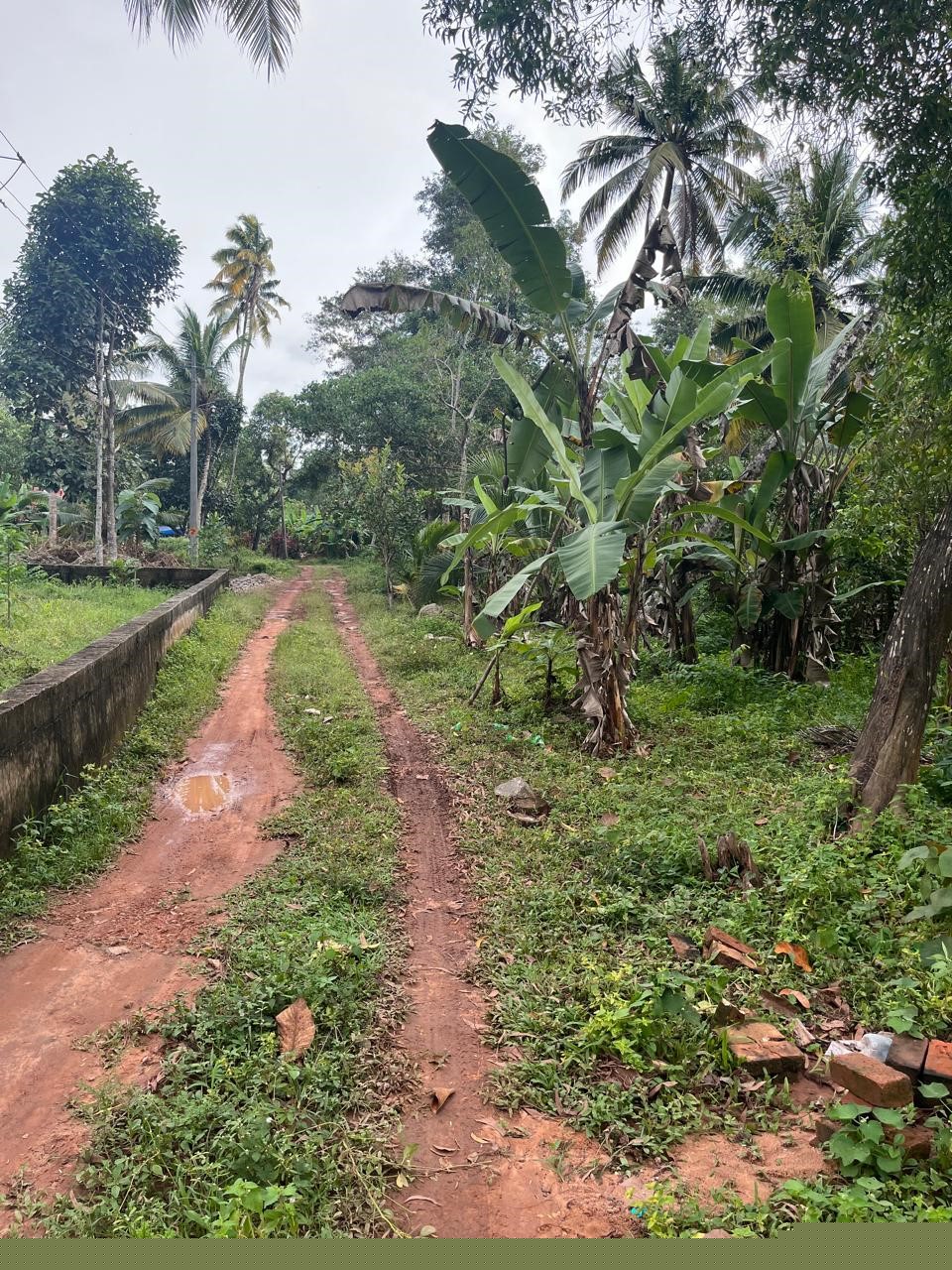 Punjab National Bank Auctions for Residential property in Trivandrum, Kerala image 6 of 12 in Varkala, Trivandrum | Punjab National Bank auction property