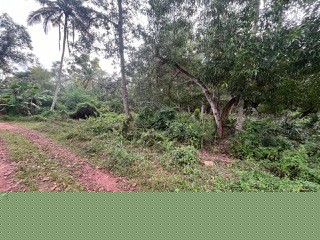 Punjab National Bank Auctions for Residential property in Trivandrum, Kerala image 8 of 12 in Varkala, Trivandrum | Punjab National Bank auction property