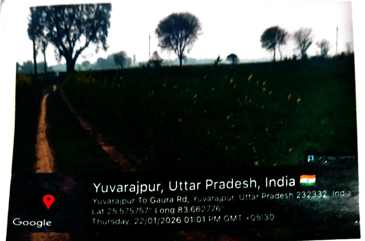 Punjab National Bank Auctions for Residential property in Ghazipur, Uttar Pradesh image 2 of 2 in Ghazipur, Ghazipur | Punjab National Bank auction property