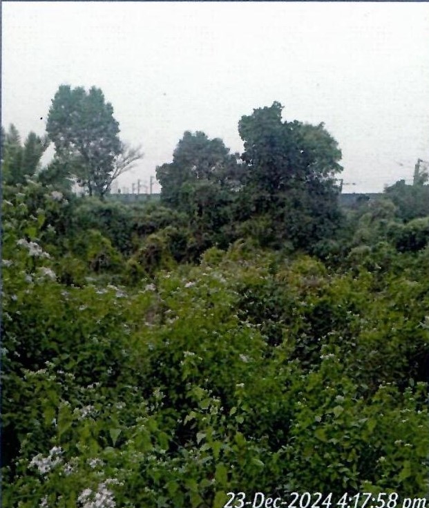 Punjab National Bank Auctions for Residential property in Bankura, West Bengal image 3 of 4 in Bankura, Bankura | Punjab National Bank auction property