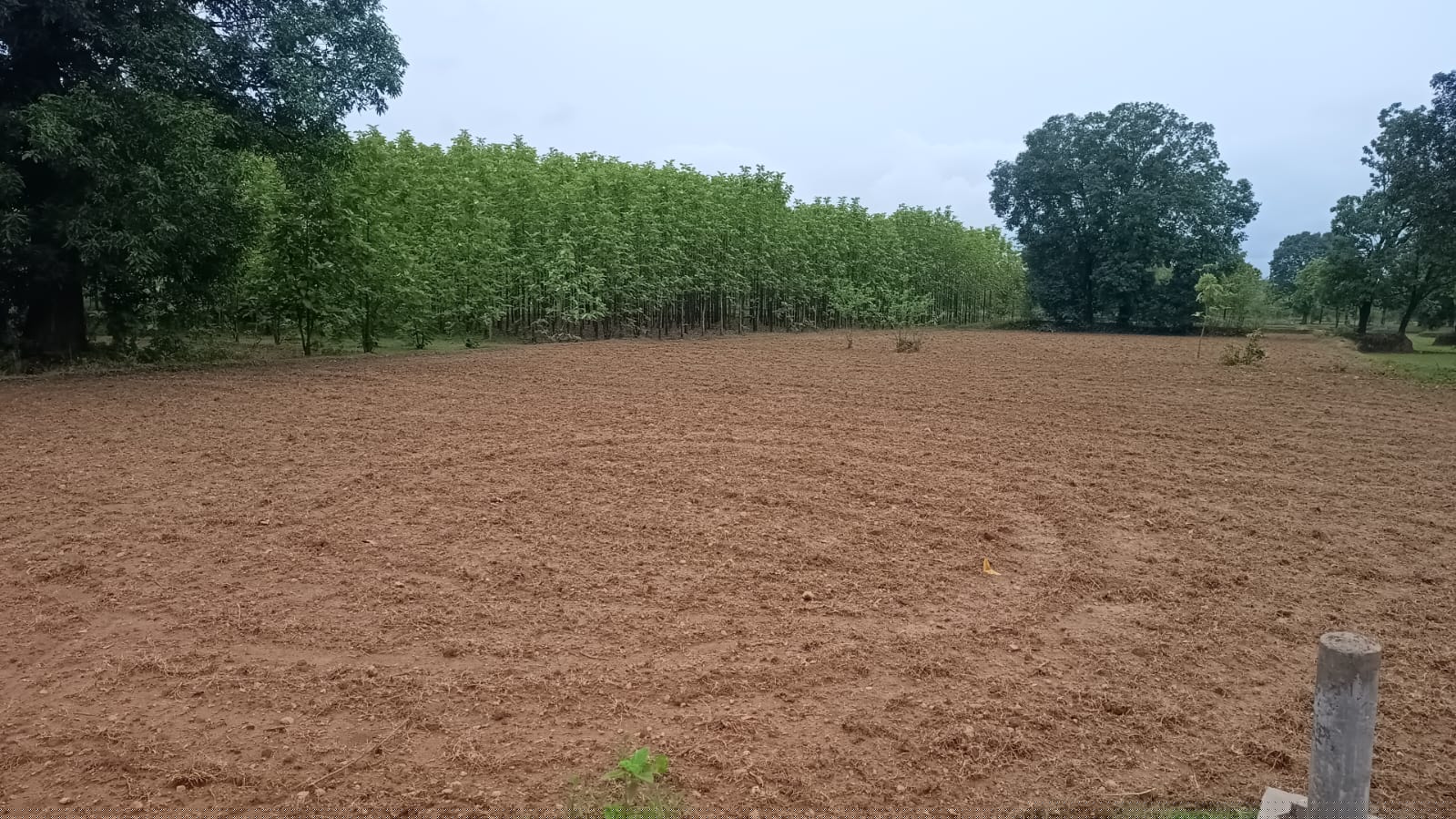 Indian Bank Auctions for Residential property in Balaghat, Madhya Pradesh image 2 of 2 in Balaghat, Balaghat | Indian Bank auction property