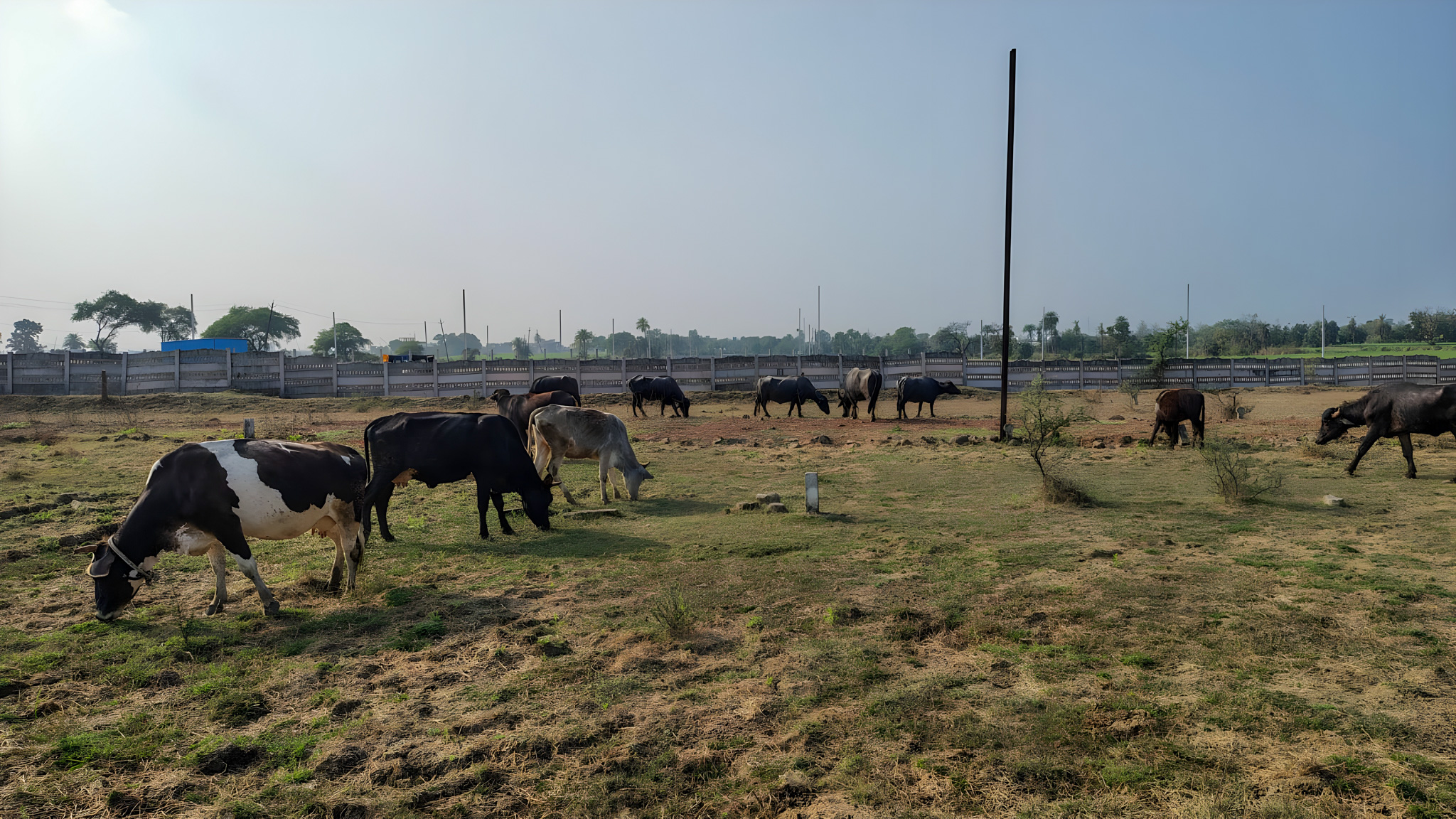 Bank of Baroda Auctions for Residential property in Bhopal, Madhya Pradesh image 15 of 15 in Bhopal, Bhopal | Bank of Baroda auction property