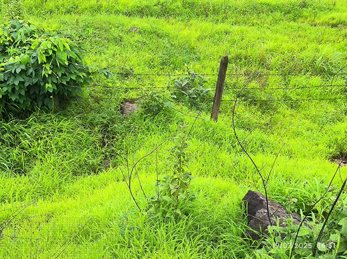 Punjab National Bank Auctions for Residential property in Raigad, Maharashtra image 2 of 5 in Khapoli, Raigad | Punjab National Bank auction property