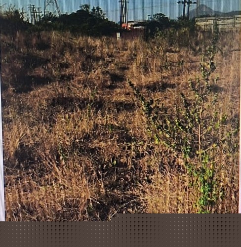 Punjab National Bank Auctions for Residential property in Raigad, Maharashtra image 3 of 5 in Khapoli, Raigad | Punjab National Bank auction property