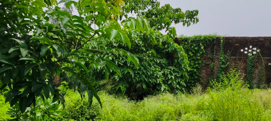 Bank of Baroda Auctions for Others property in Ambedkar Nagar, Uttar Pradesh image 2 of 22 in Jalalpur, Ambedkar Nagar | Bank of Baroda auction property