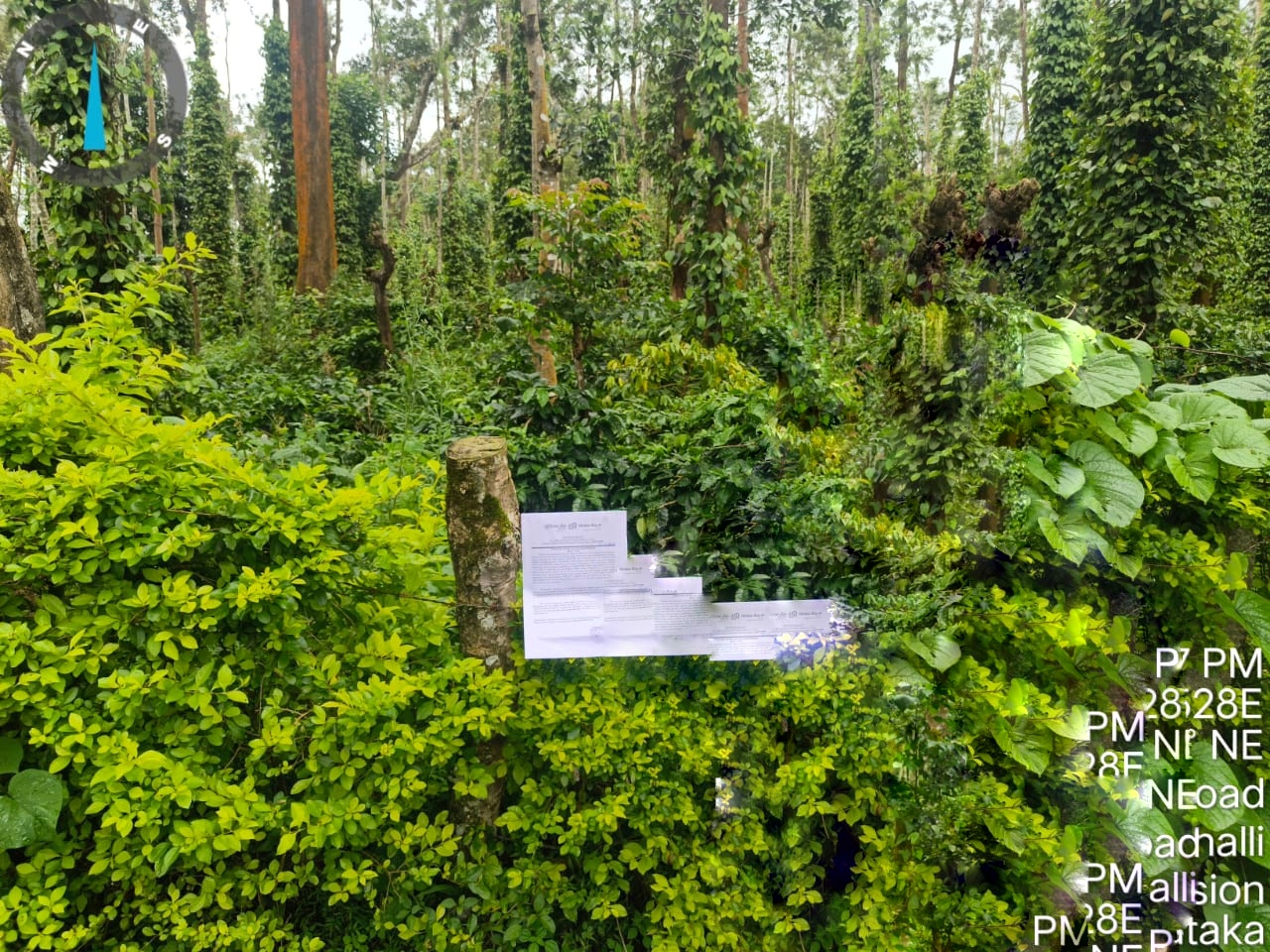 Union Bank of India Auctions for Commercial property in Hassan, Karnataka image 3 of 3 in Belur, Hassan | Union Bank of India auction property