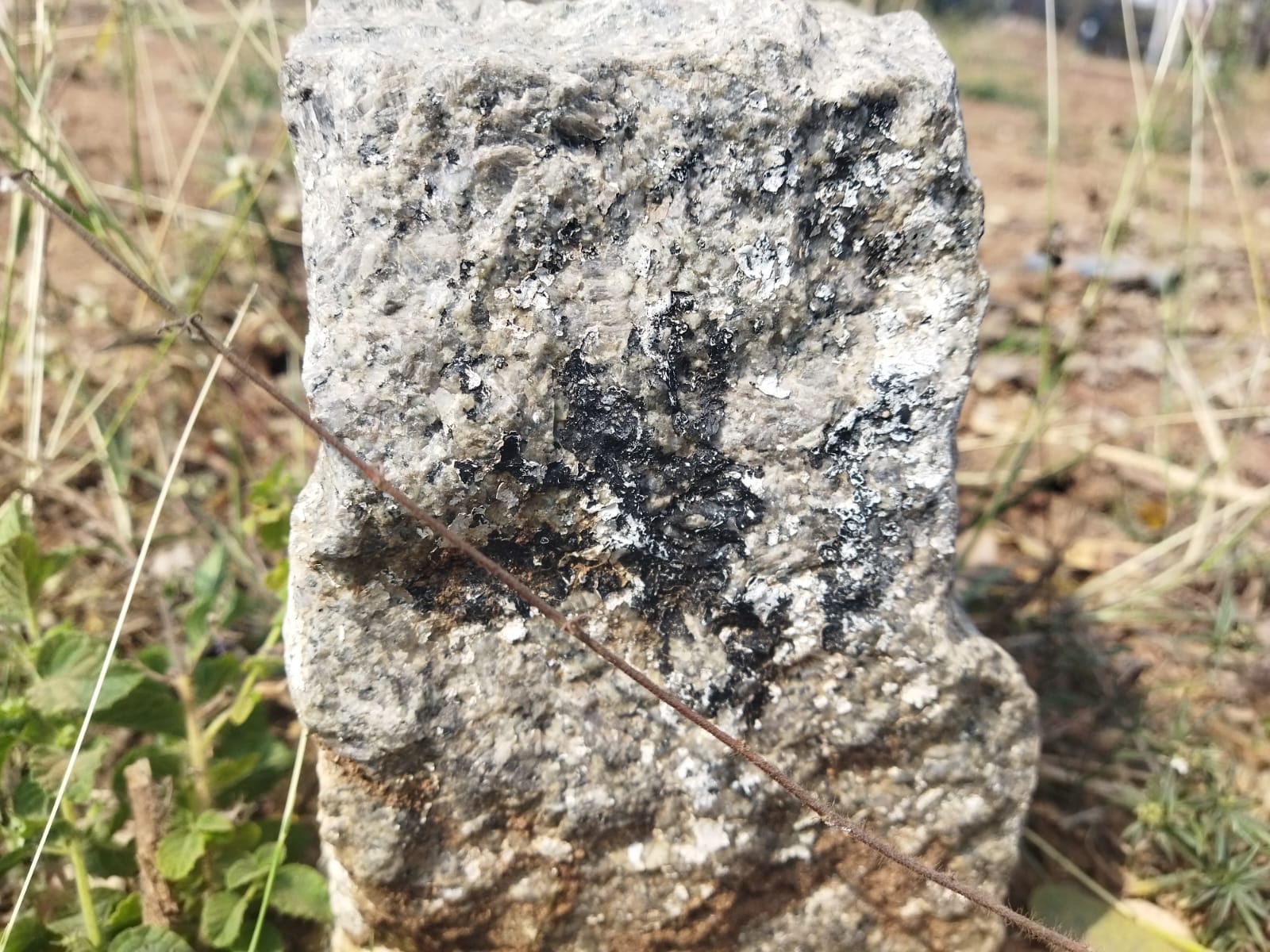 Central Bank of India Auctions for Residential property in Hyderabad, Telangana image 7 of 7 in Hyderabad, Hyderabad | Central Bank of India auction property