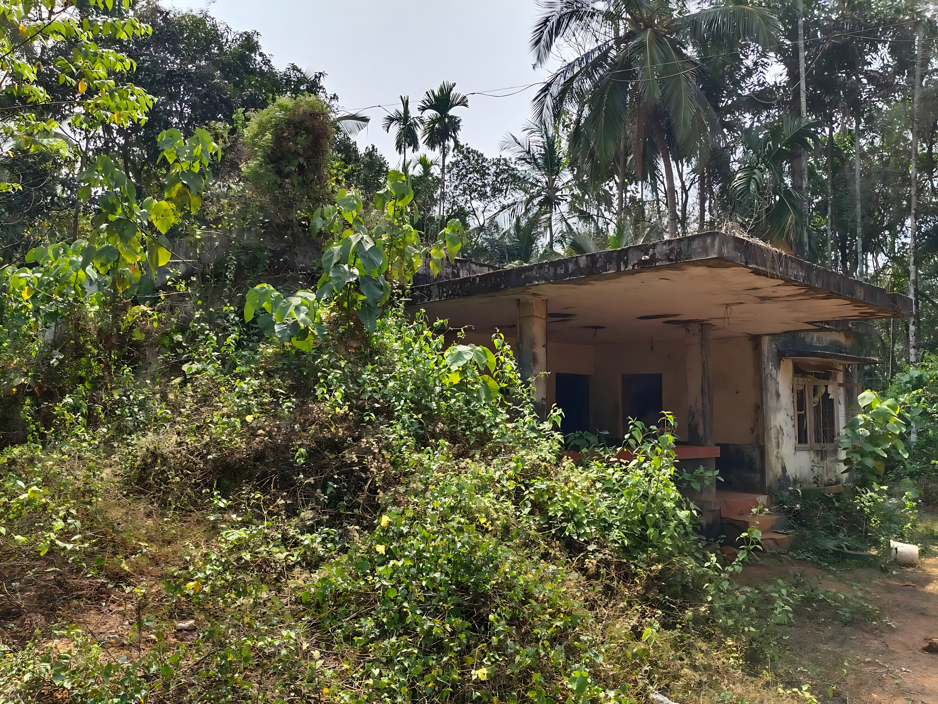 Bank of Baroda Auctions for Residential property in Kozhikode, Kerala image 13 of 13 in Atholi, Kozhikode | Bank of Baroda auction property
