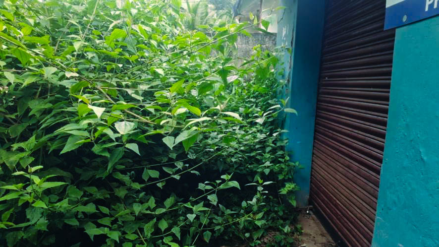 Bank of India Auctions for Residential property in Trivandrum, Kerala image 2 of 8 in Kulathummal, Trivandrum | Bank of India auction property