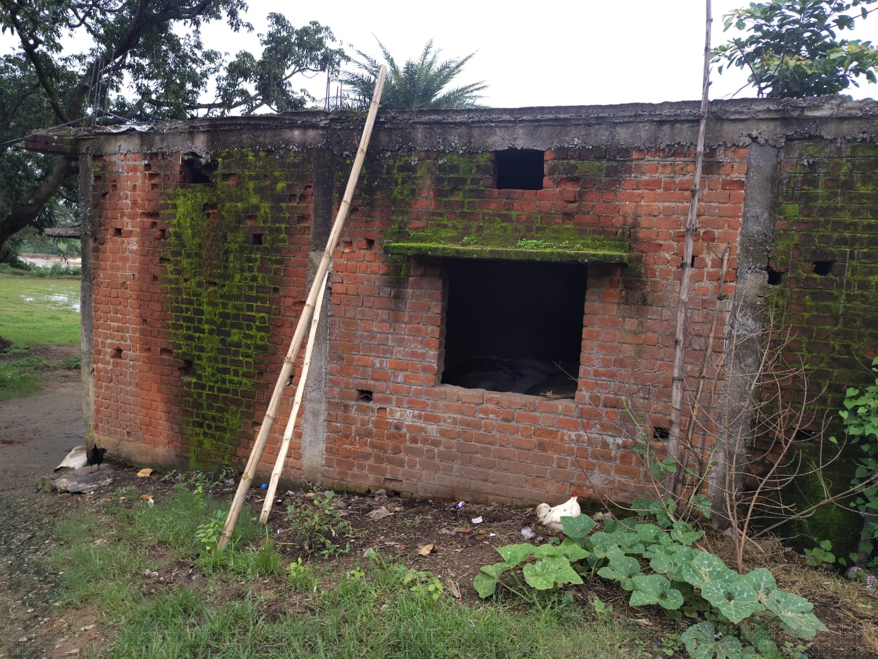 Others - Chhattisgarh Rajya Gramin Bank Auctions for Residential property in Surguja, Chhattisgarh image 8 of 13 in Sitapur, Surguja | Others - Chhattisgarh Rajya Gramin Bank auction property