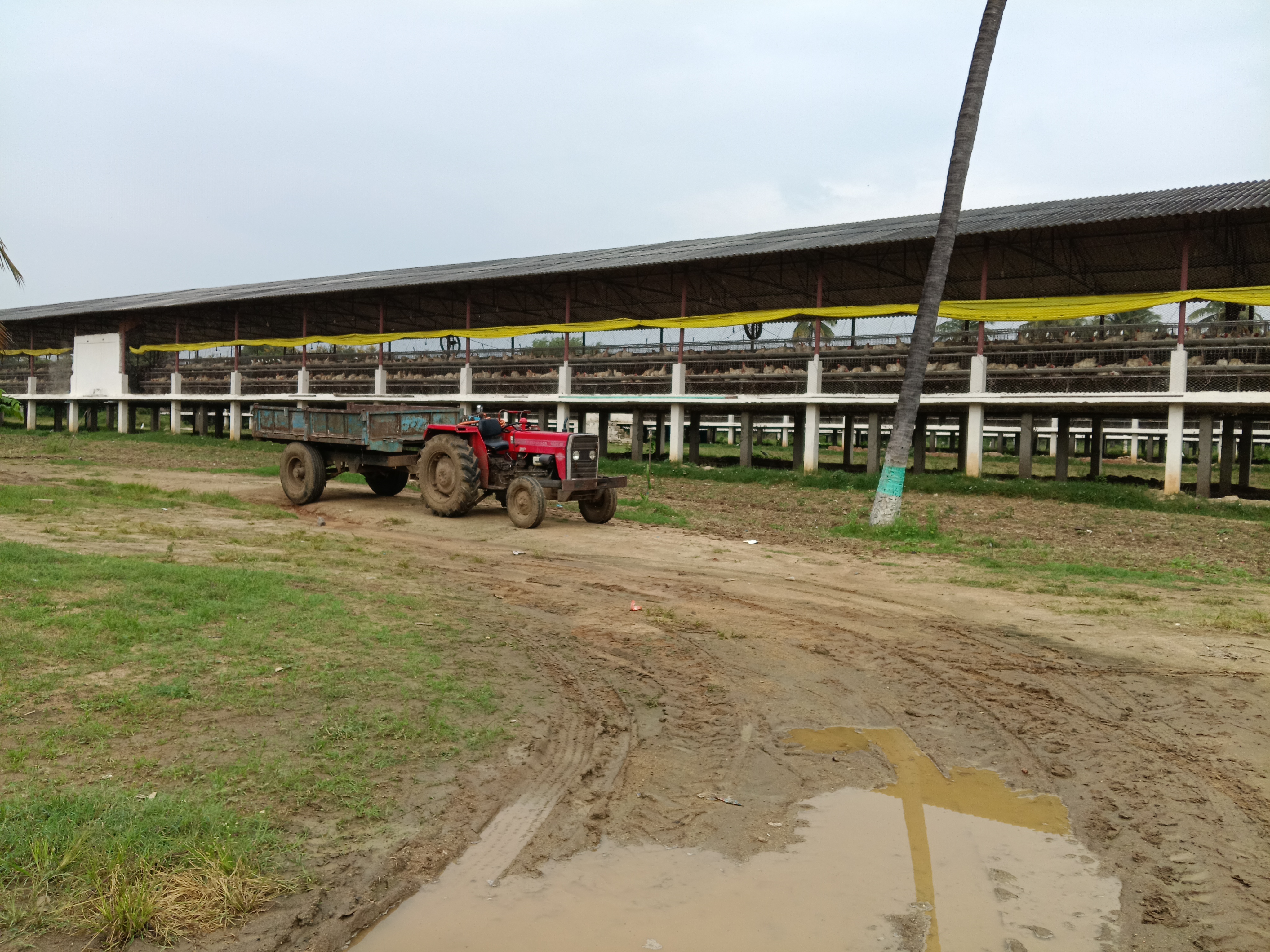 Union Bank of India Auctions for Commercial property in Kolar, Karnataka image 4 of 4 in Mulbagal, Kolar | Union Bank of India auction property