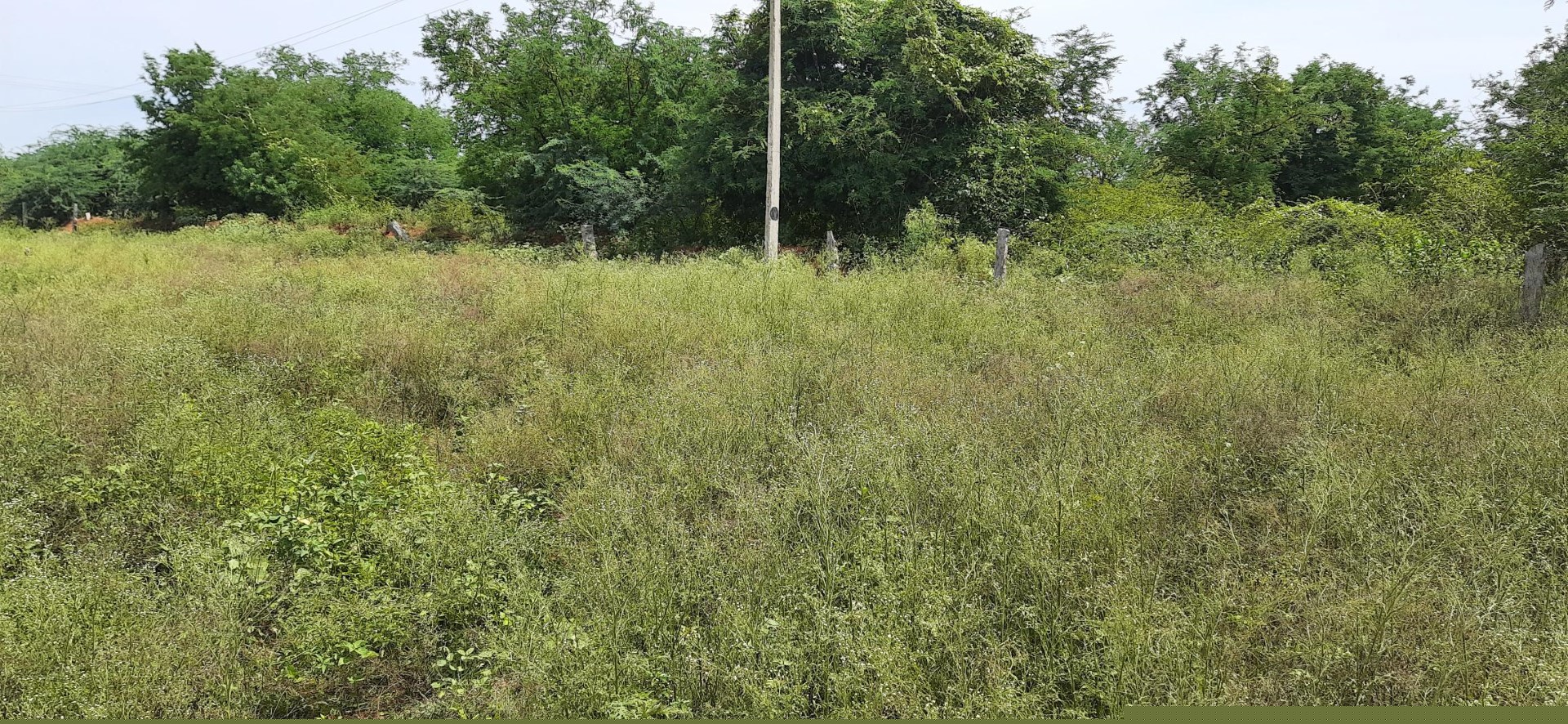 Indian Bank Auctions for Residential property in Dindigul, Tamil Nadu image 3 of 3 in Dindigul, Dindigul | Indian Bank auction property