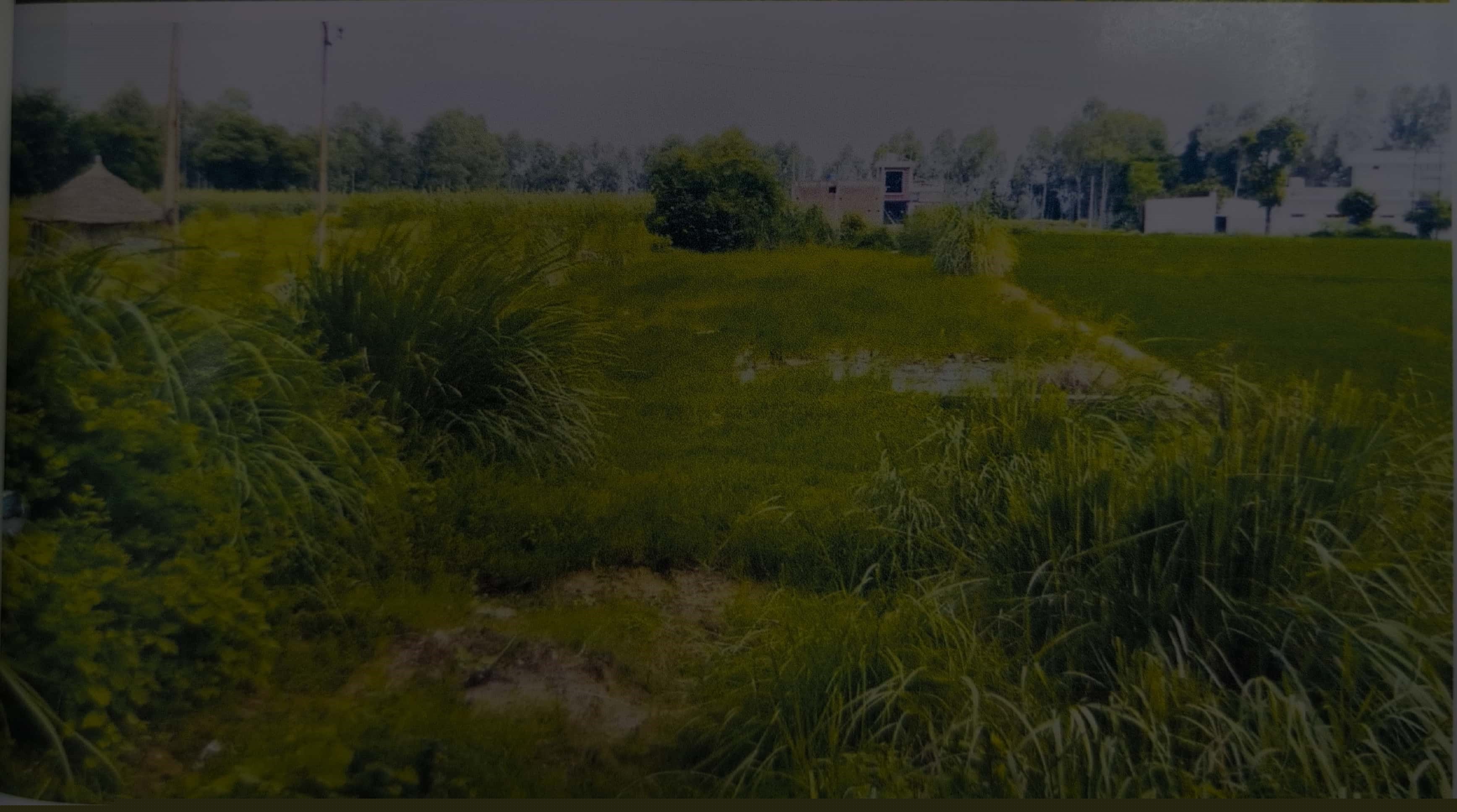 Punjab National Bank Auctions for Residential property in Udham Singh Nagar, Uttarakhand image 2 of 3 in Bazpur, Udham Singh Nagar | Punjab National Bank auction property