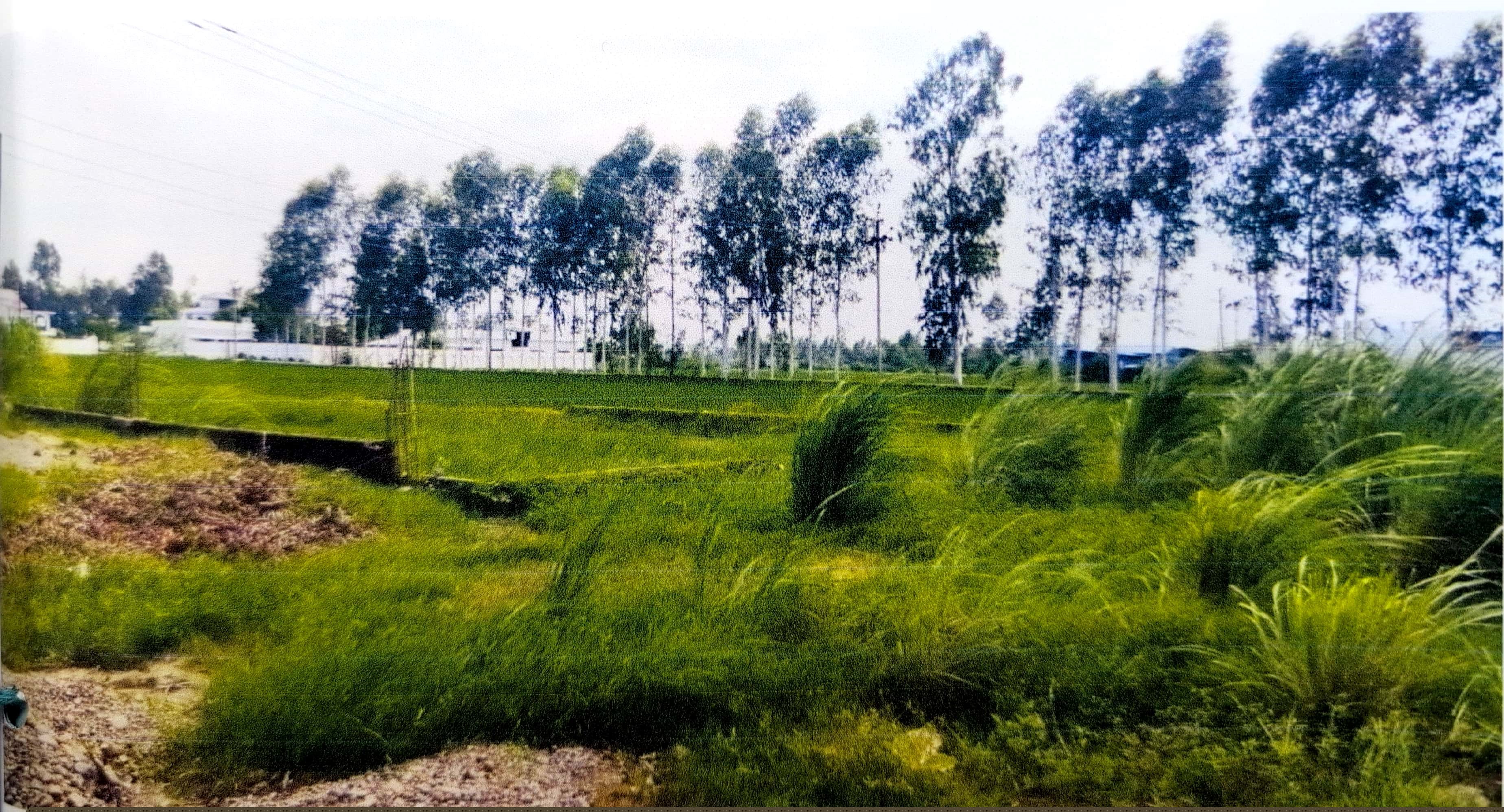 Punjab National Bank Auctions for Residential property in Udham Singh Nagar, Uttarakhand image 2 of 3 in Bazpur, Udham Singh Nagar | Punjab National Bank auction property