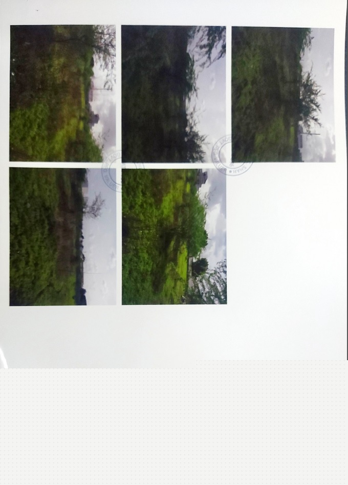 State Bank of India Auctions for Residential property in Amreli, Gujarat image 2 of 2 in Amreli, Amreli | State Bank of India auction property