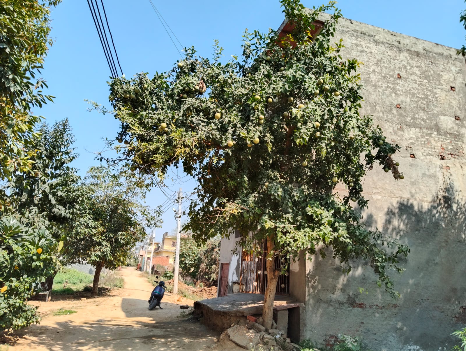 Punjab National Bank Auctions for Residential property in Aligarh, Uttar Pradesh image 2 of 9 in Jalali, Aligarh | Punjab National Bank auction property