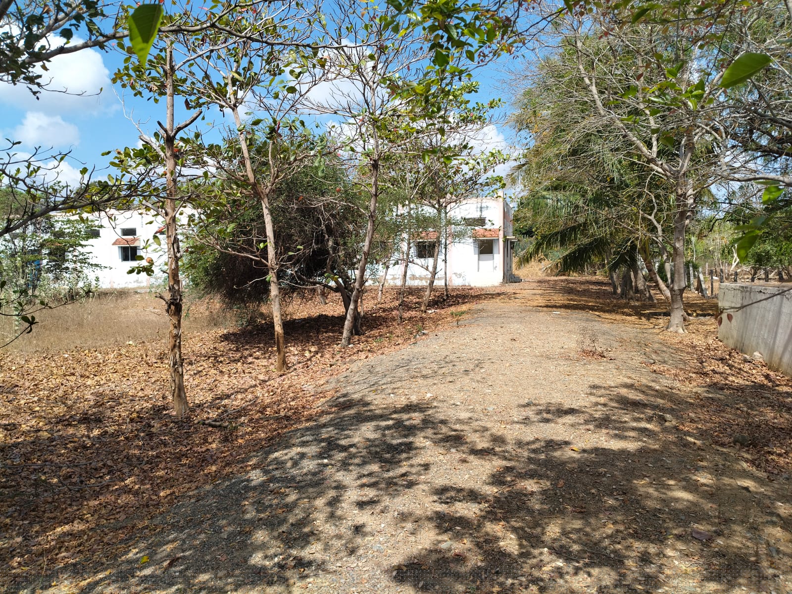 Central Bank of India Auctions for Commercial property in Sivaganga, Tamil Nadu image 8 of 9 in Thiruppathur, Sivaganga | Central Bank of India auction property