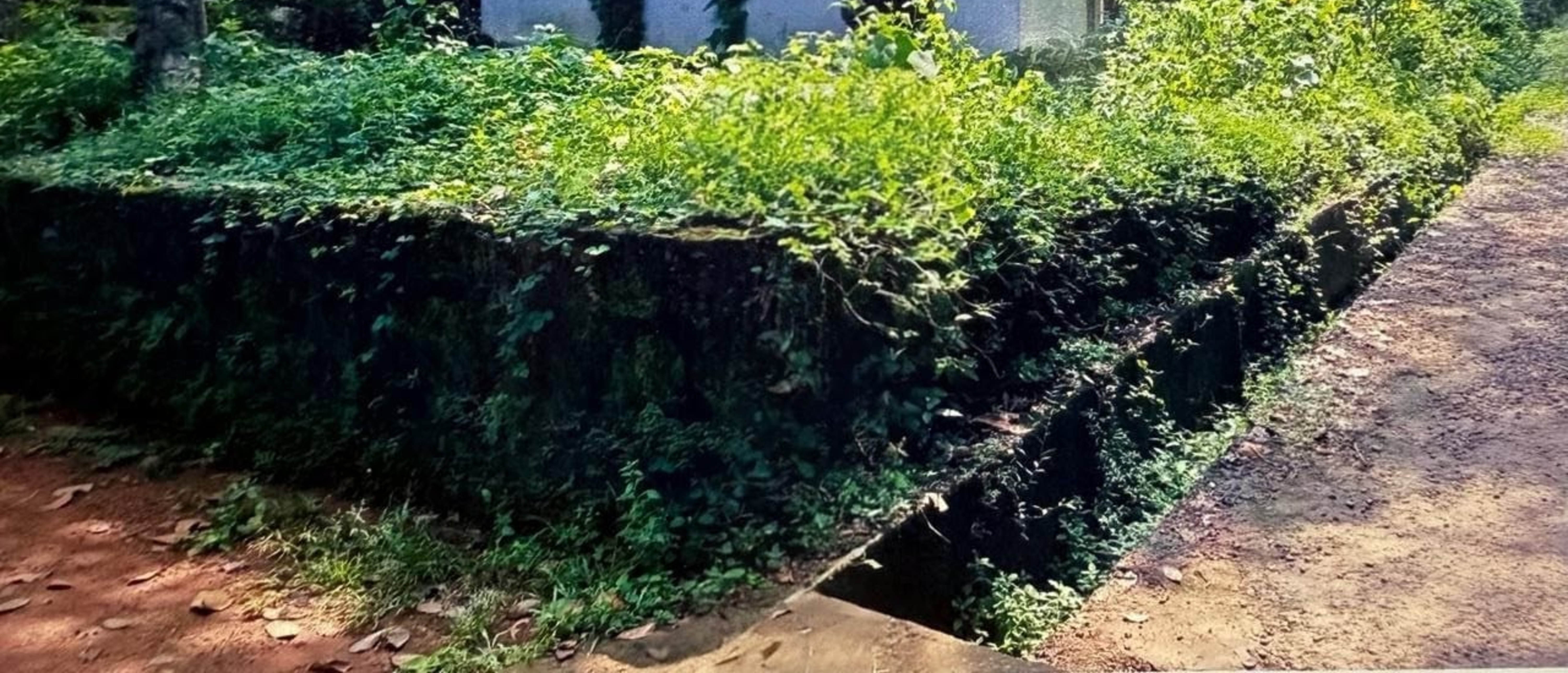 Punjab National Bank Auctions for Residential property in Malappuram, Kerala image 3 of 7 in Irimbiliyam, Malappuram | Punjab National Bank auction property
