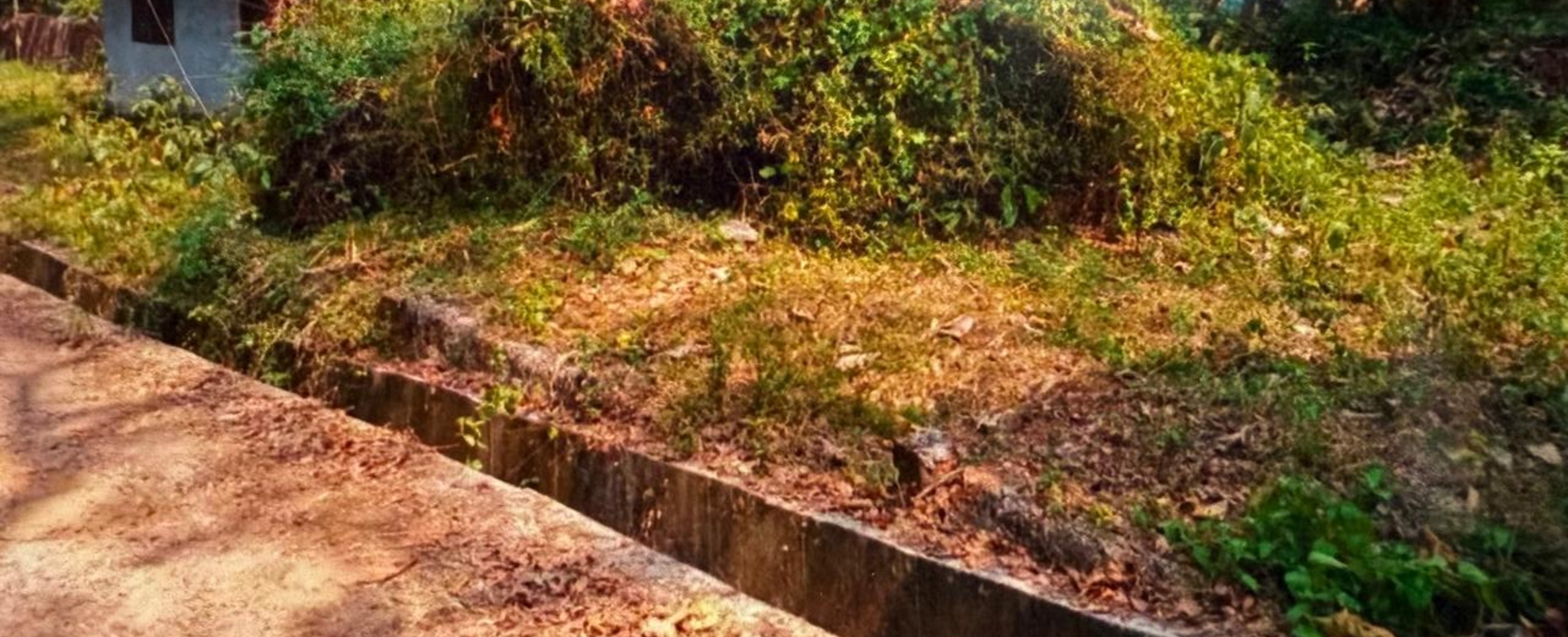 Punjab National Bank Auctions for Residential property in Malappuram, Kerala image 4 of 7 in Irimbiliyam, Malappuram | Punjab National Bank auction property