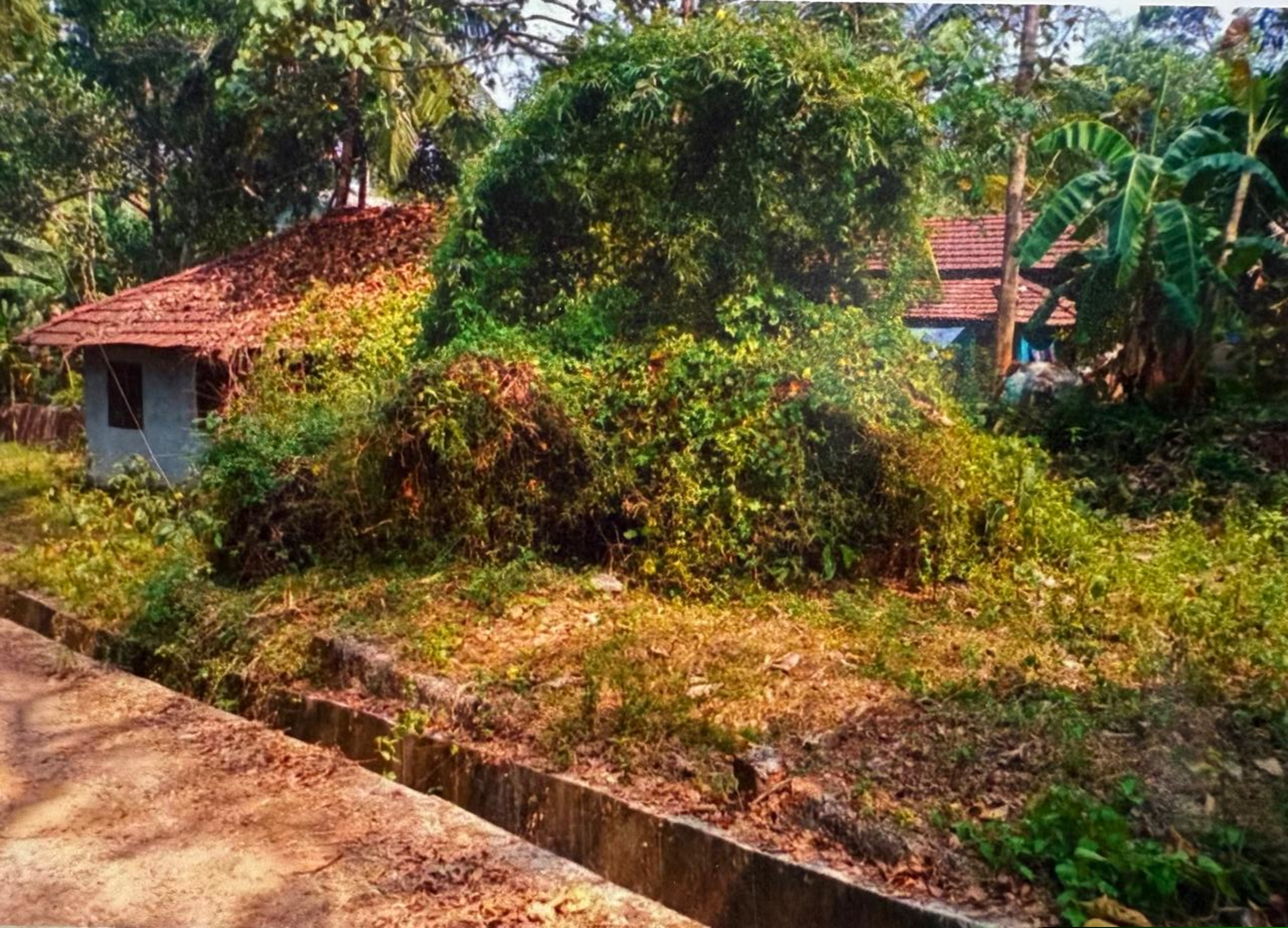 Punjab National Bank Auctions for Residential property in Malappuram, Kerala image 5 of 7 in Irimbiliyam, Malappuram | Punjab National Bank auction property